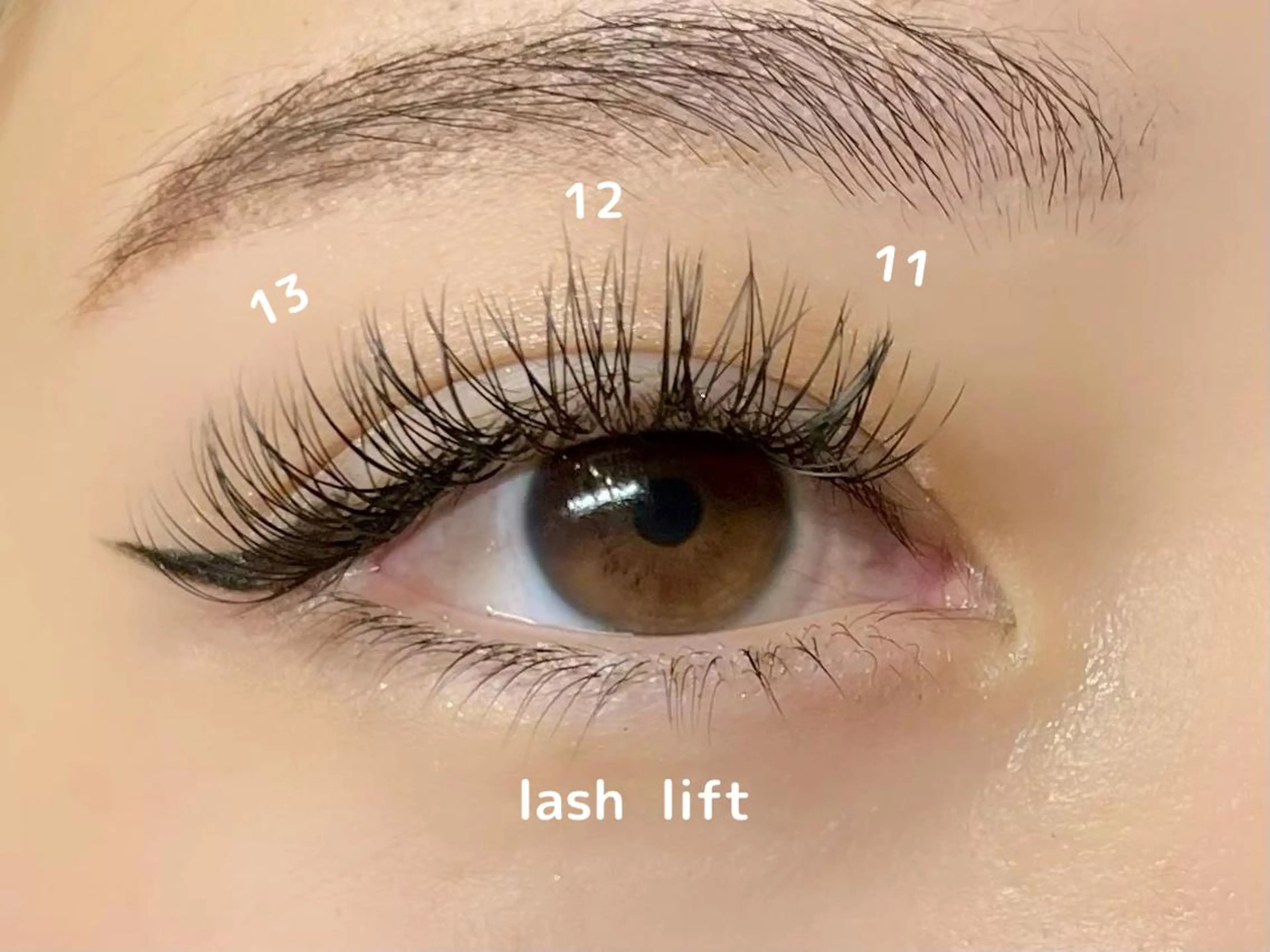 【3回目まで20%オフ✨】バインド/ダブルフラットラッシュ60束(120本)の写真