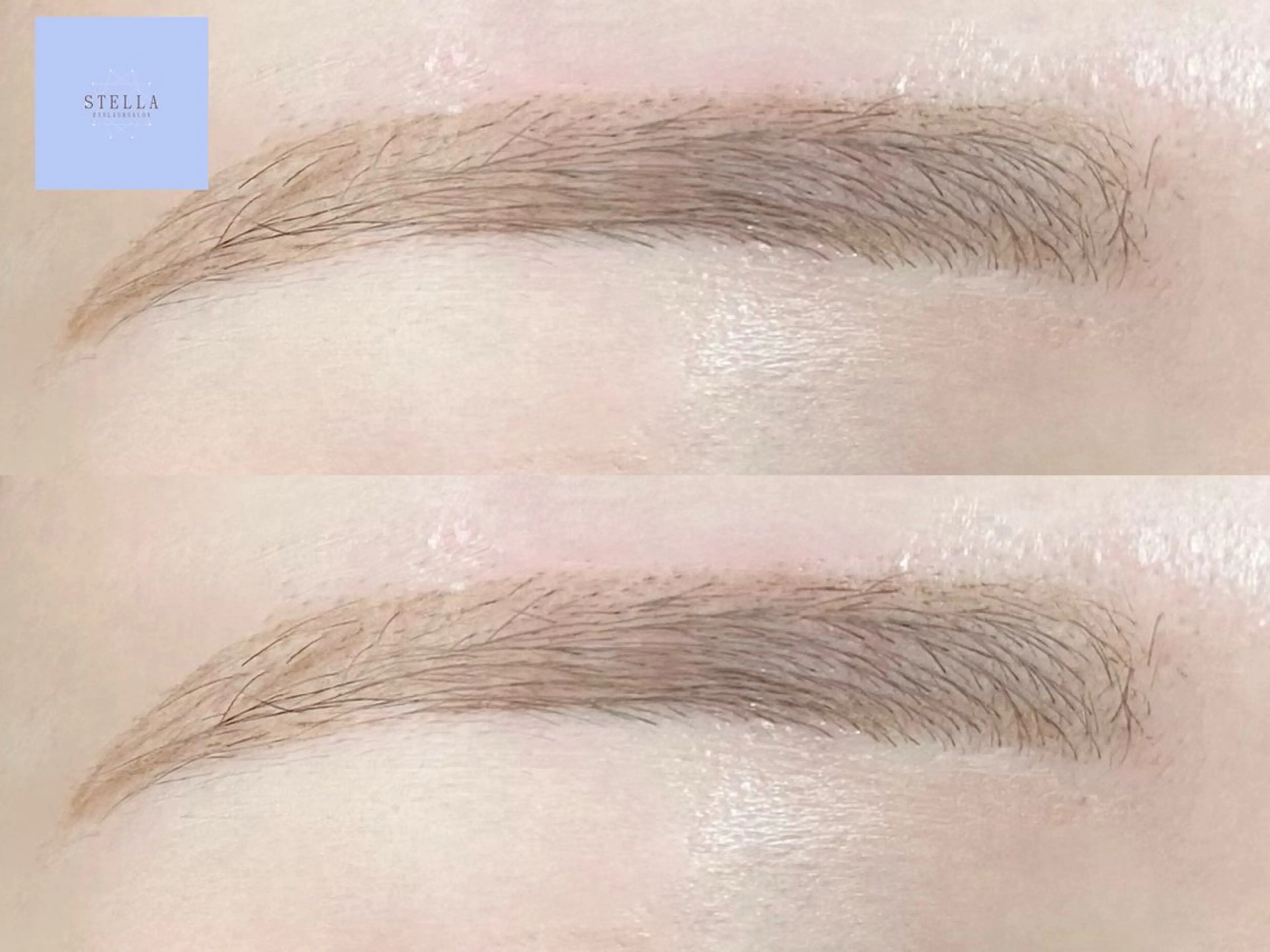 アイブロウ Stella Eyelashesの眉毛・アイブロウイメージ