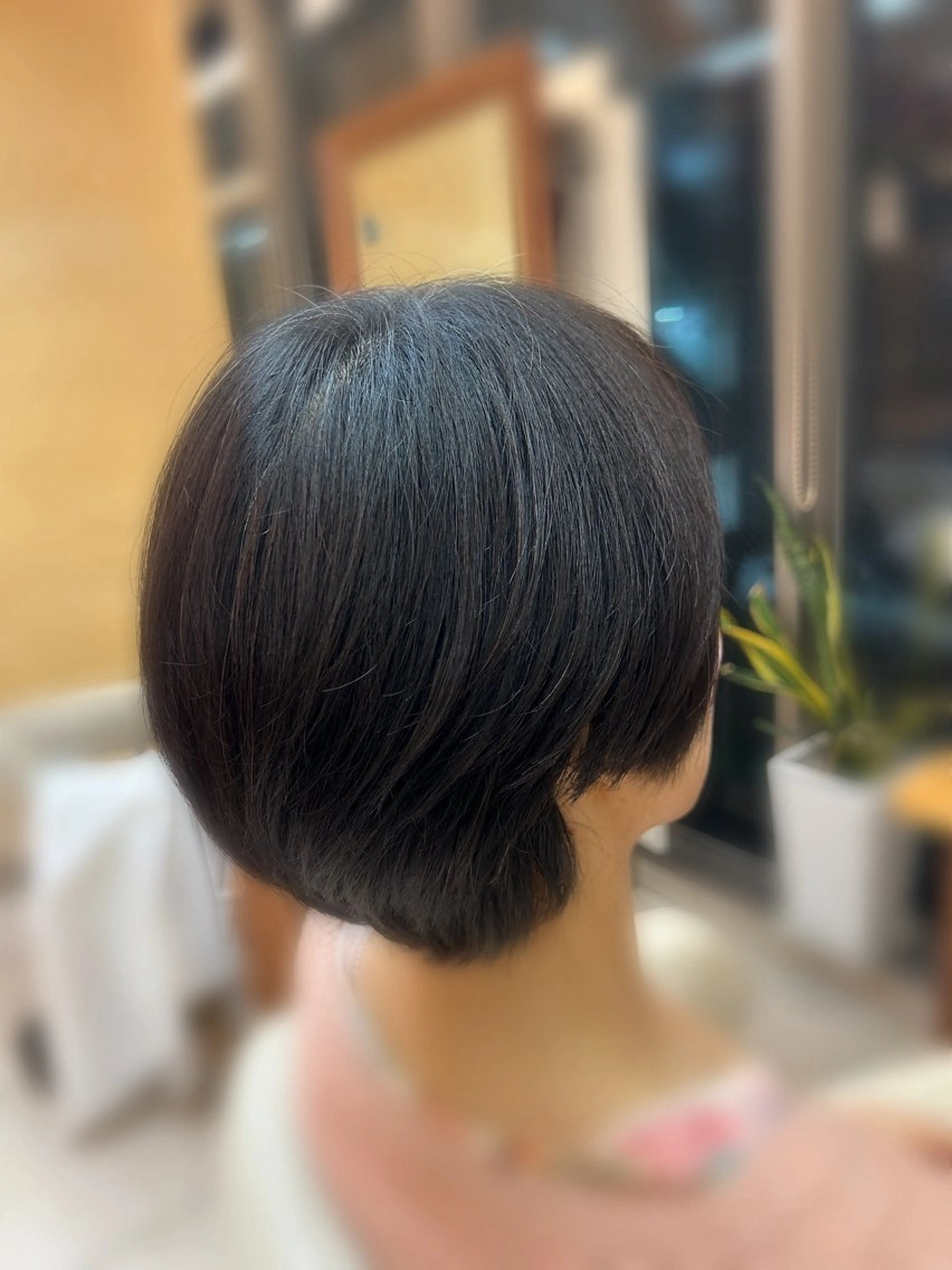 ショート 三瓶 公子のヘアスタイル