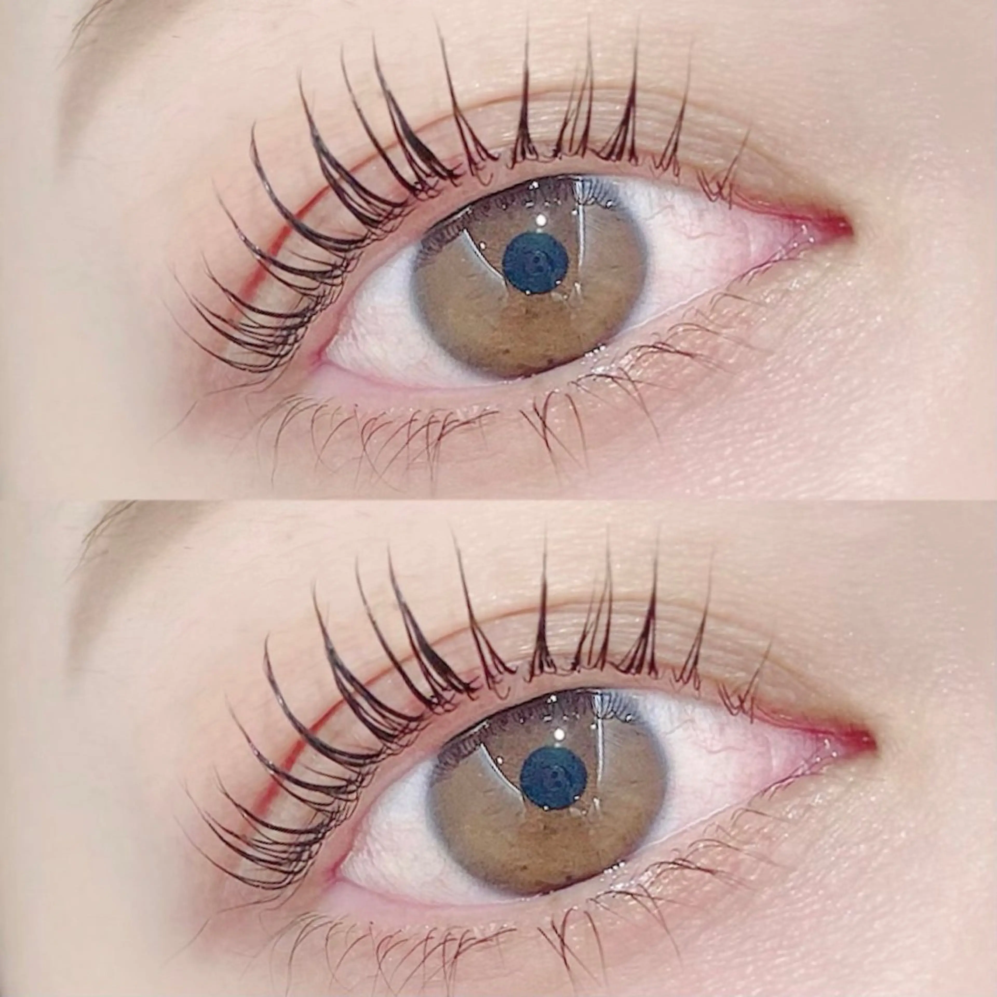 《ご新規様4/13限定》❤️‍🔥パリジェンヌ、デザインラッシュリフト❤️‍🔥の写真