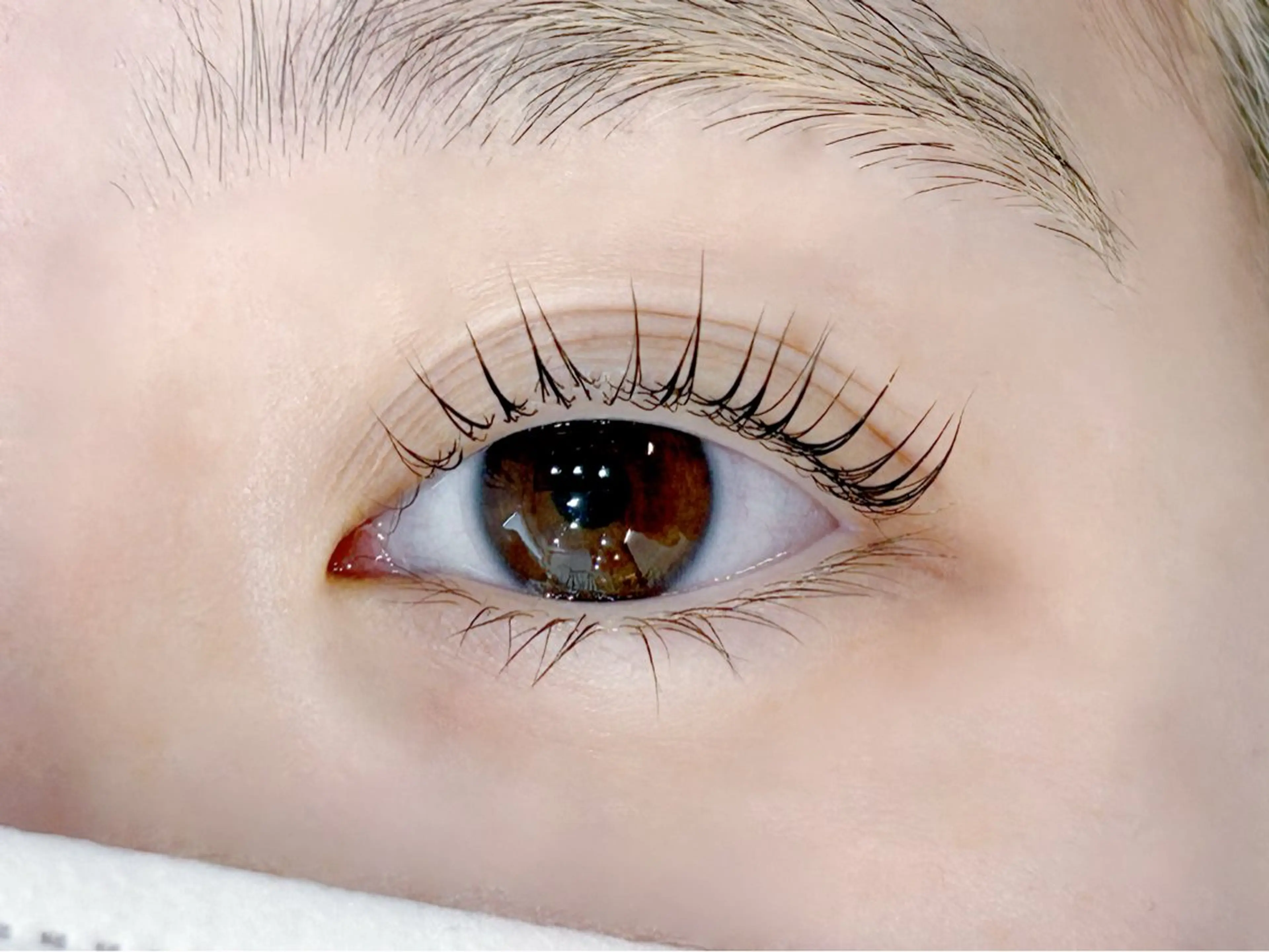 マツエク・マツパ パリジェンヌラッシュリフト マツパ あかり🍎 ungu iEのマツエク・マツパデザイン