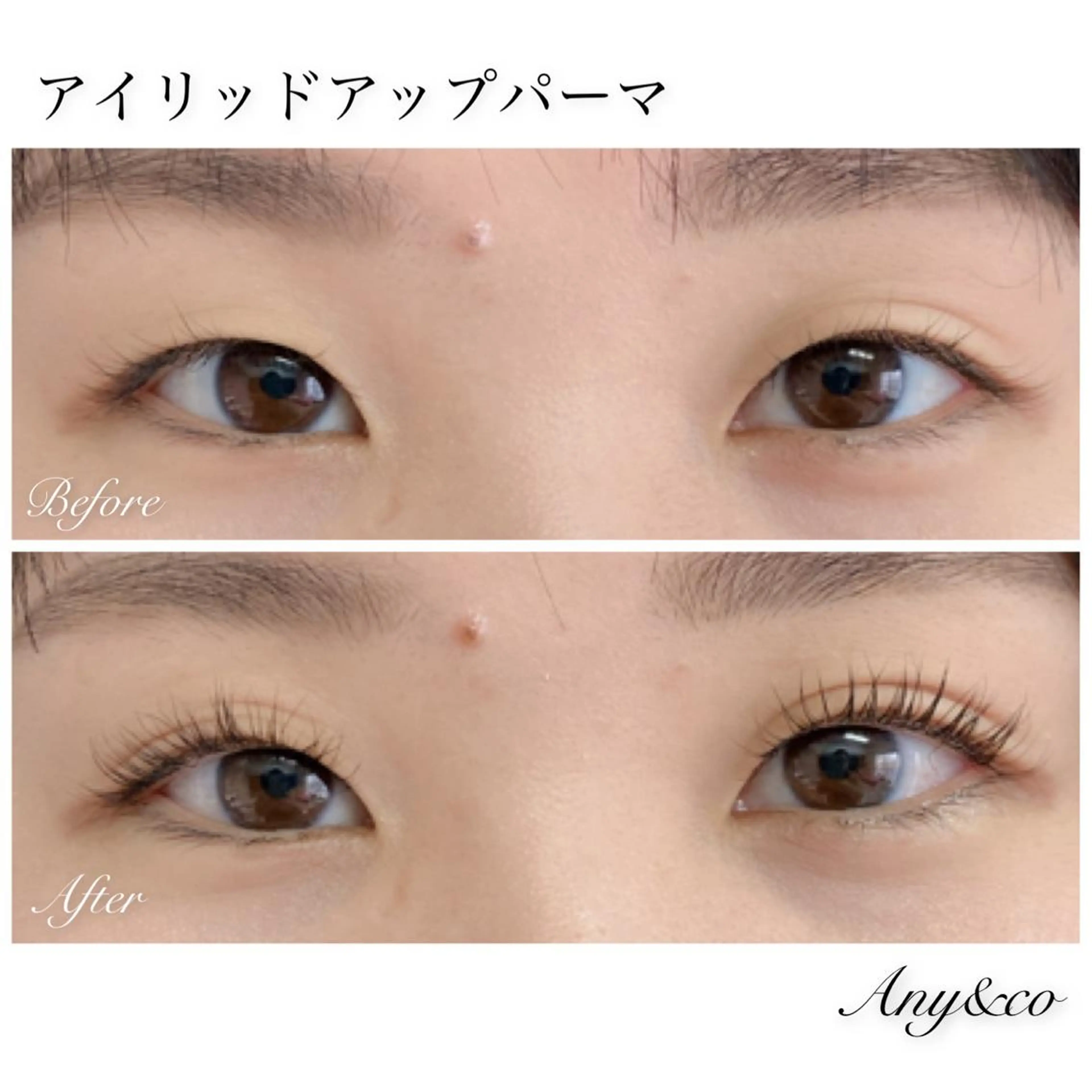 マツエク・マツパ アイリッドアップパーマ Any&co 【エニコ】のマツエク・マツパデザイン