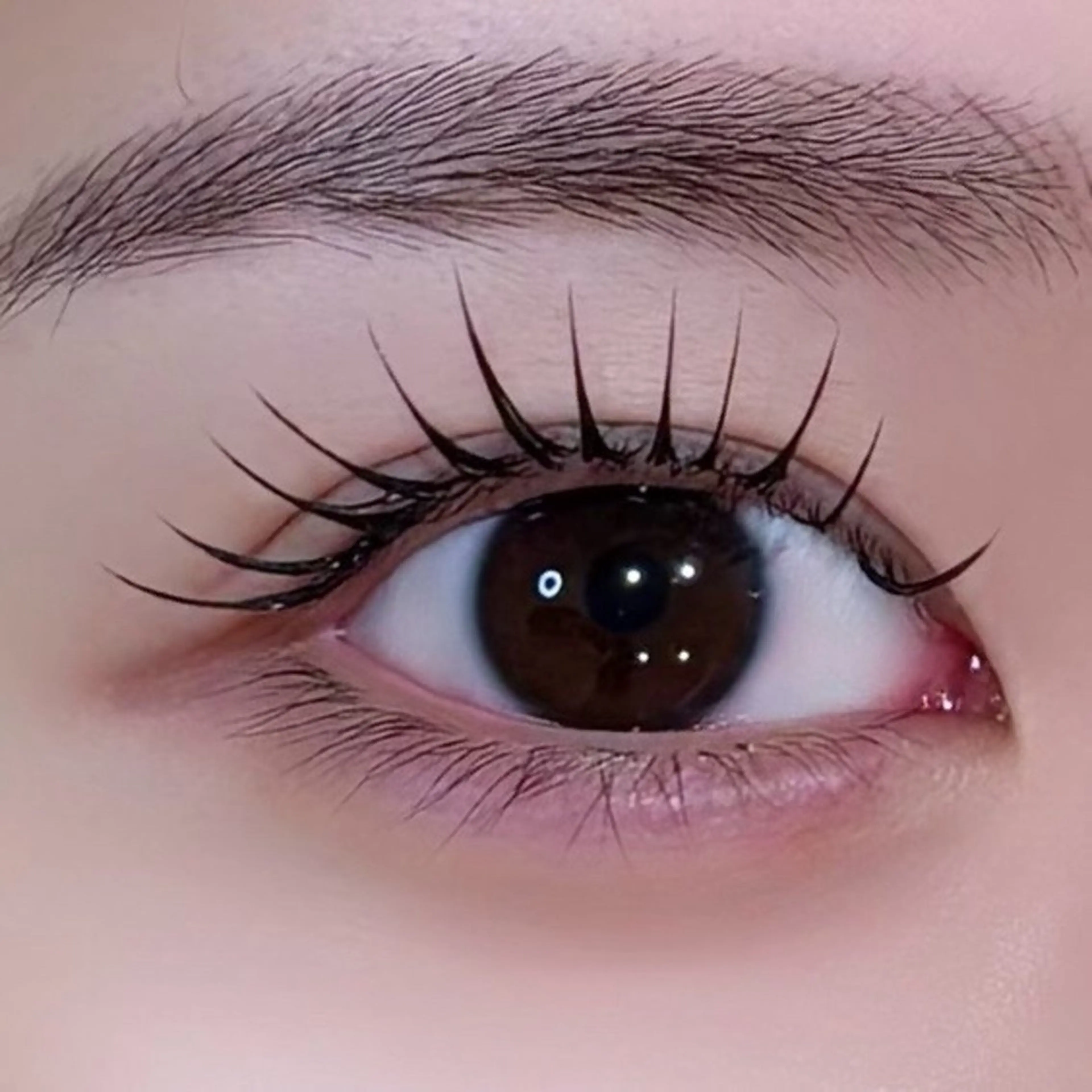 マツエク・マツパ Plus Ehiku /naoのマツエク・マツパデザイン