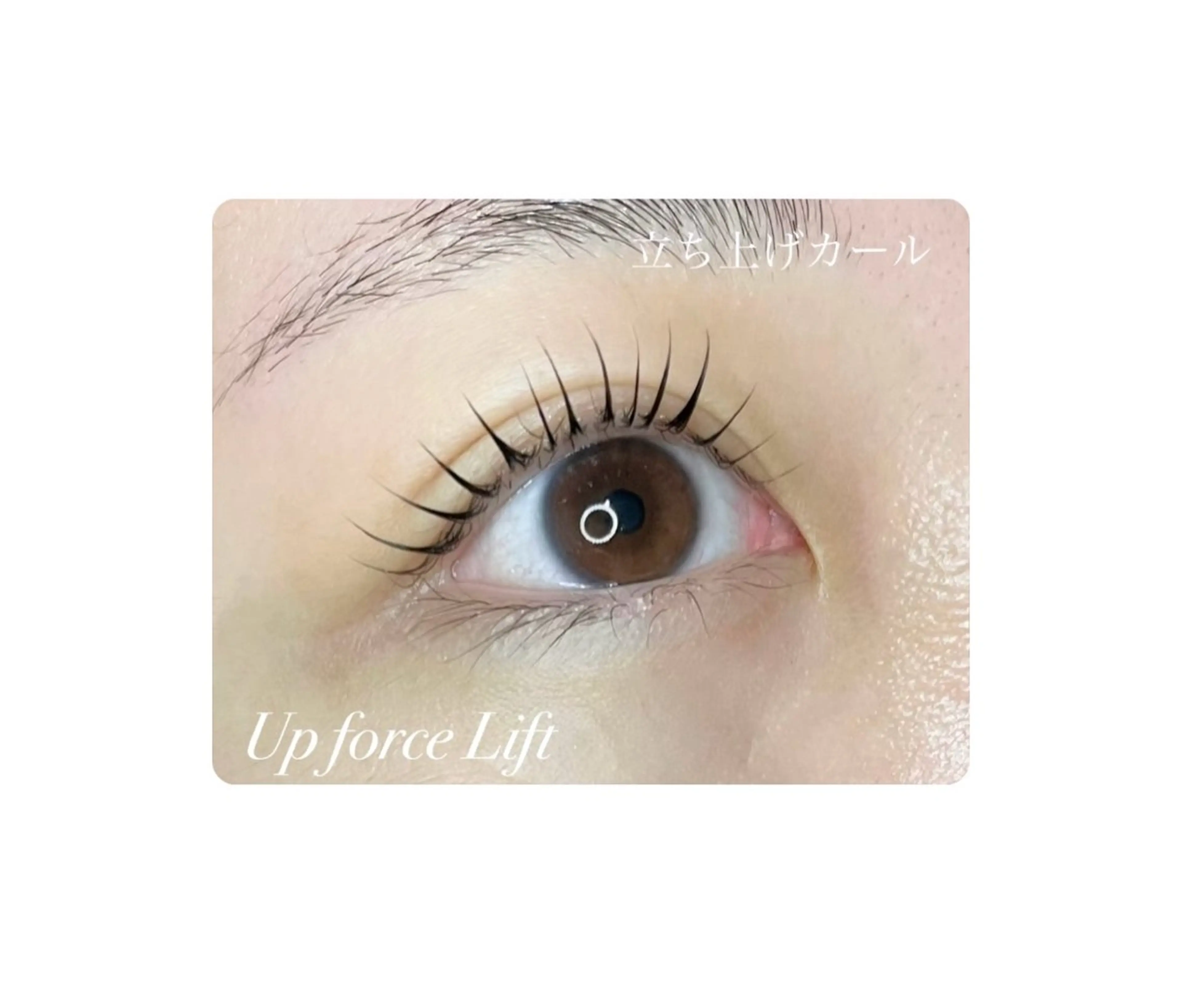 マツエク・マツパ 🤍下村 絢香🤍のマツエク・マツパデザイン