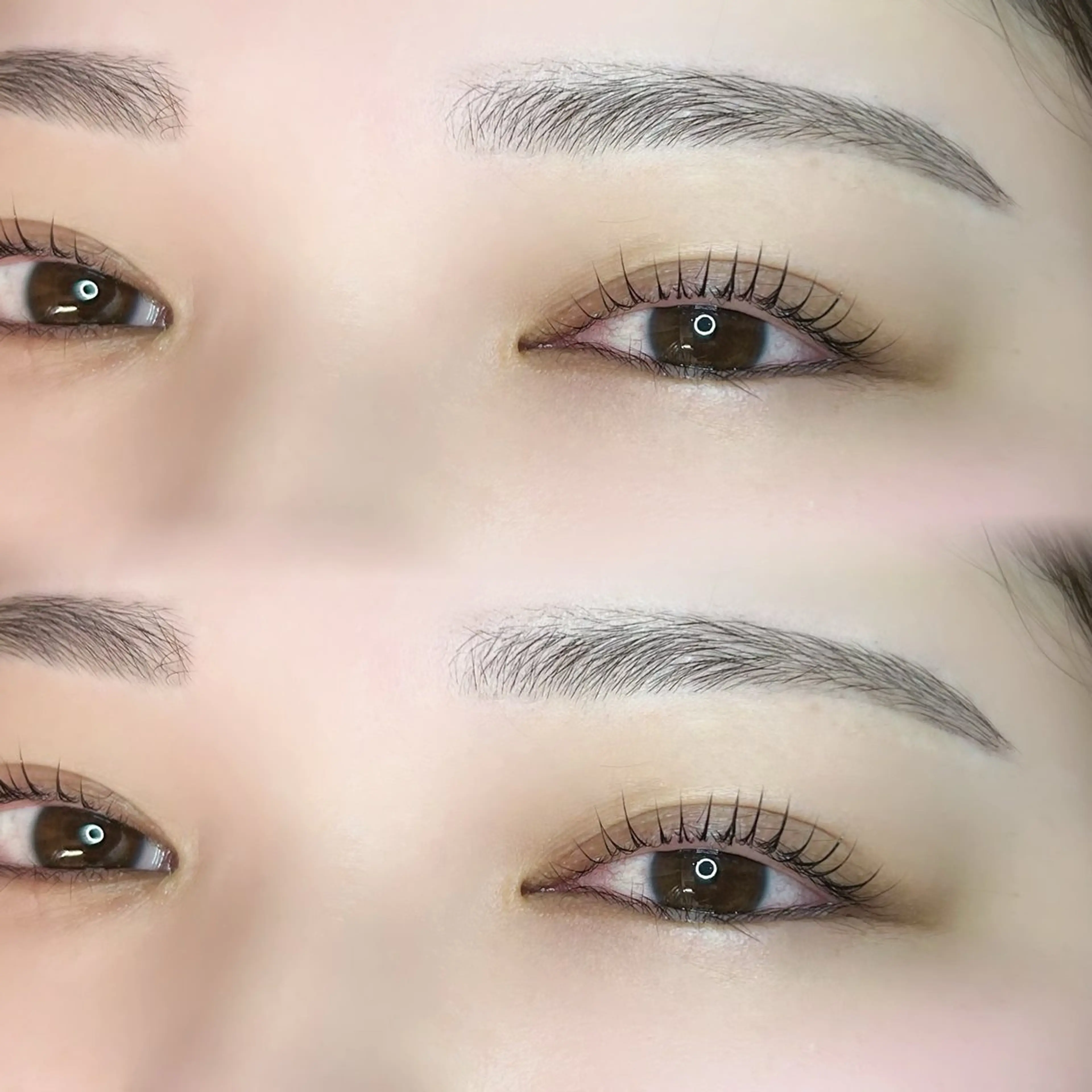 💓限定SETメニュー💓アイブロウ&パリジェンヌorラッシュリフト⚠️補足説明必読⚠️の写真