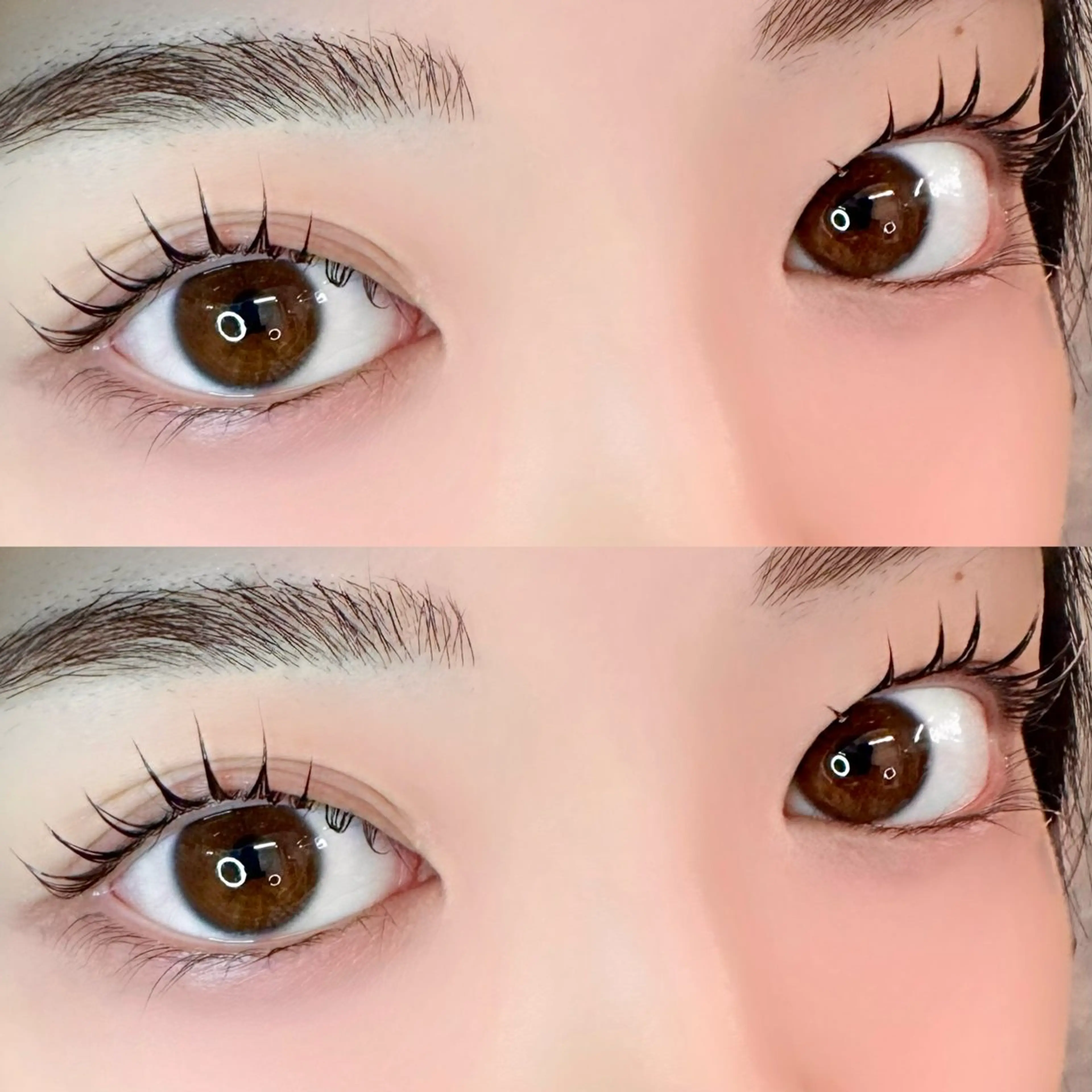 マツエク・マツパ マツパ 🦖fein. YUINA🦕⋆͛のマツエク・マツパデザイン