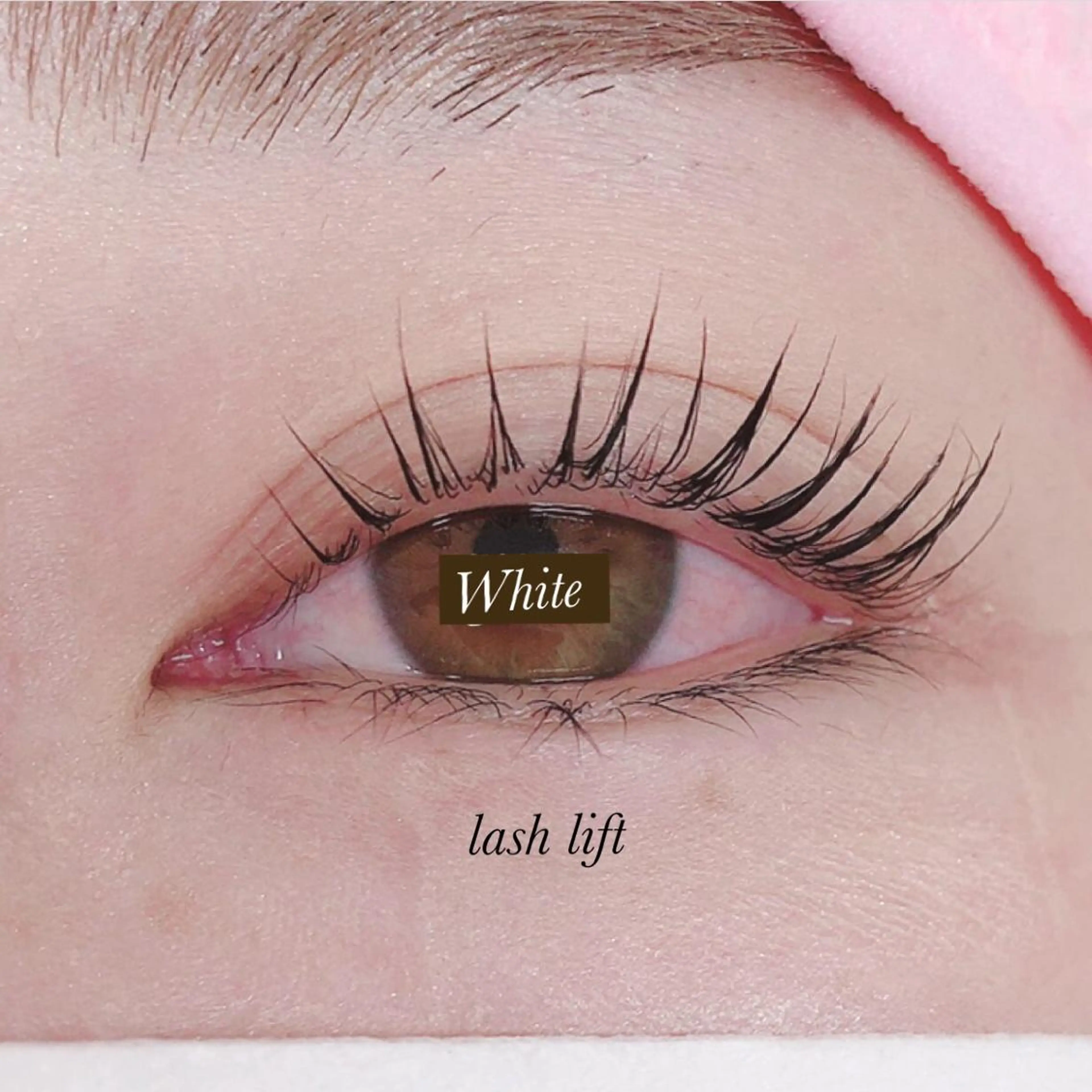 マツエク・マツパ White/マツエク /まつパ/耳つぼのマツエク・マツパデザイン