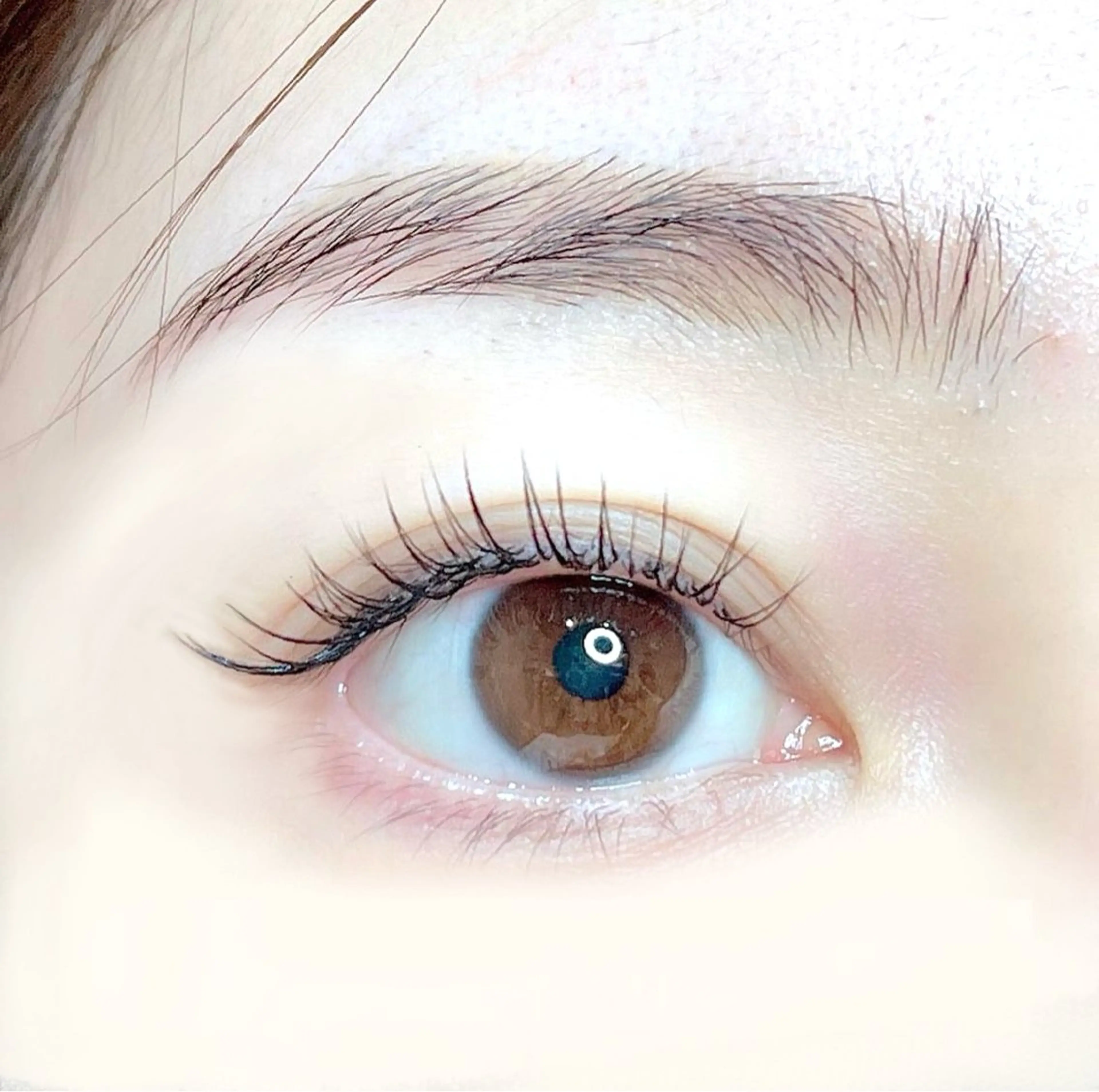 マツエク・マツパ マツエク araki 🧸💭のマツエク・マツパデザイン