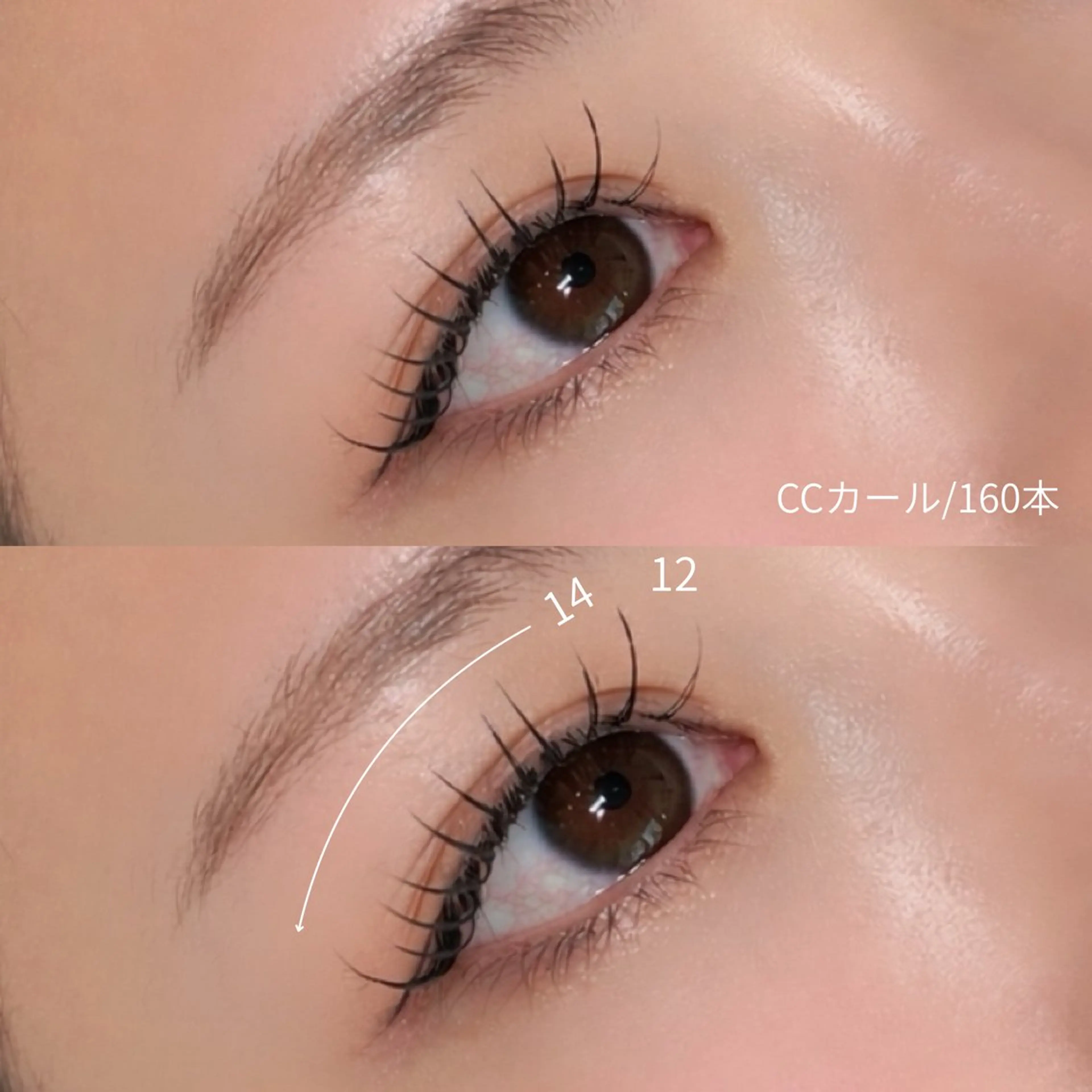 【フラットラッシュ】100本(オフ込み)の写真