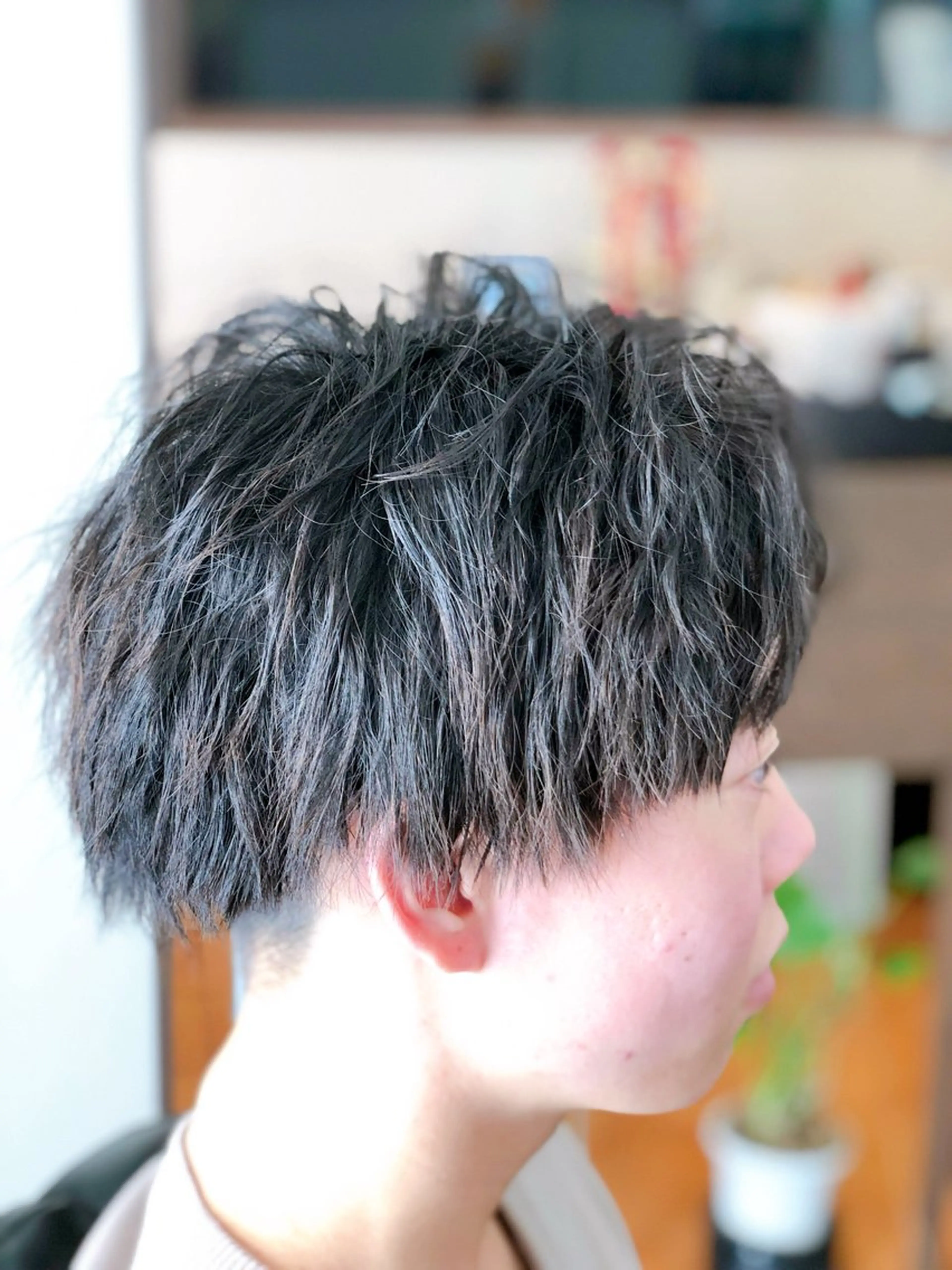 ショート パーマ メンズ マッシュ 学生（メンズ向け） 学生 早川 太貴のヘアスタイル