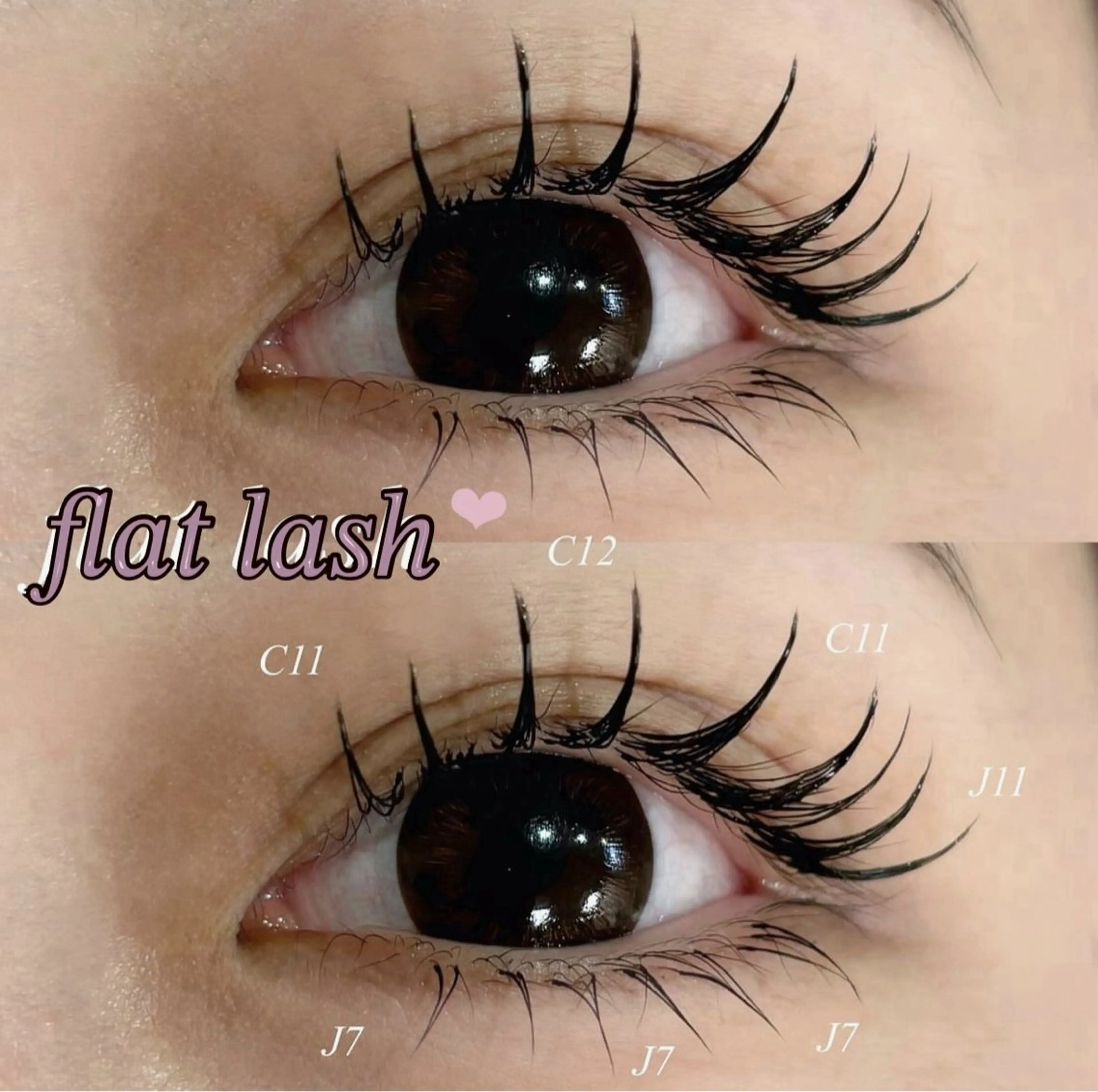 《 フラットラッシュ140本 🎵♡ 》の写真