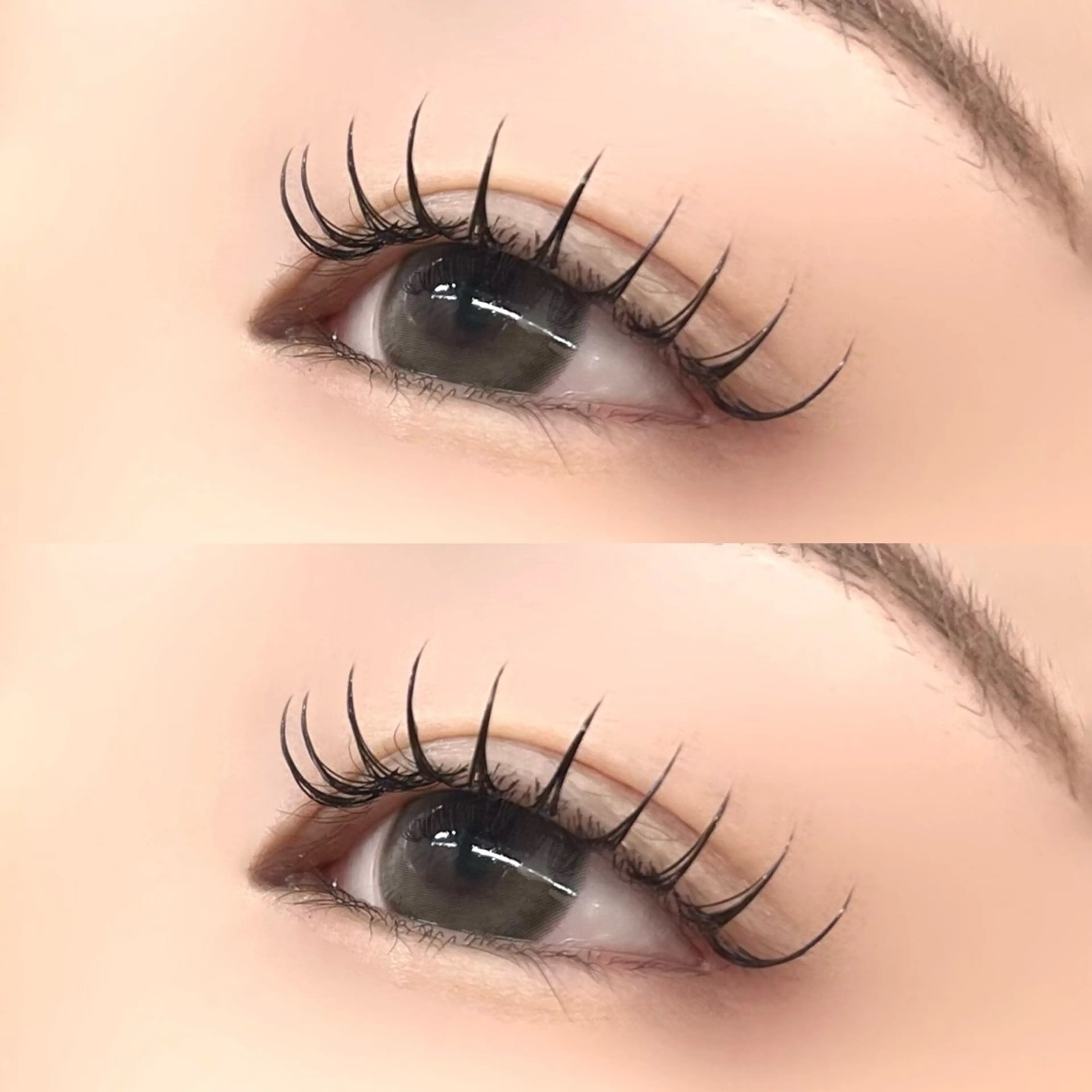 🌷新規限定🌷【フラットラッシュ120本🤍】コーティング仕上げ🪄（シングルオフ無料✨）の写真