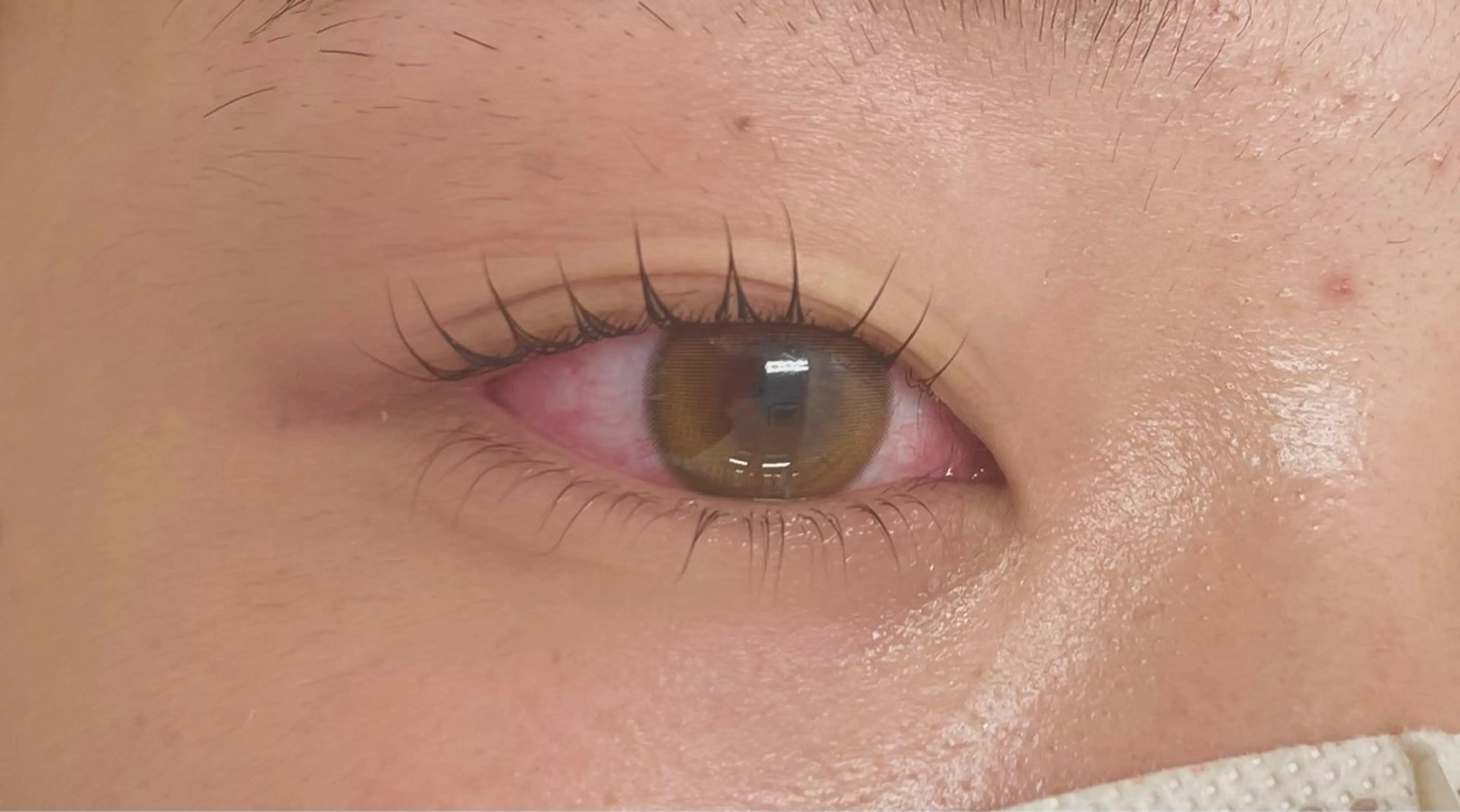 平日限定💎上下まつ毛パーマ💎の写真