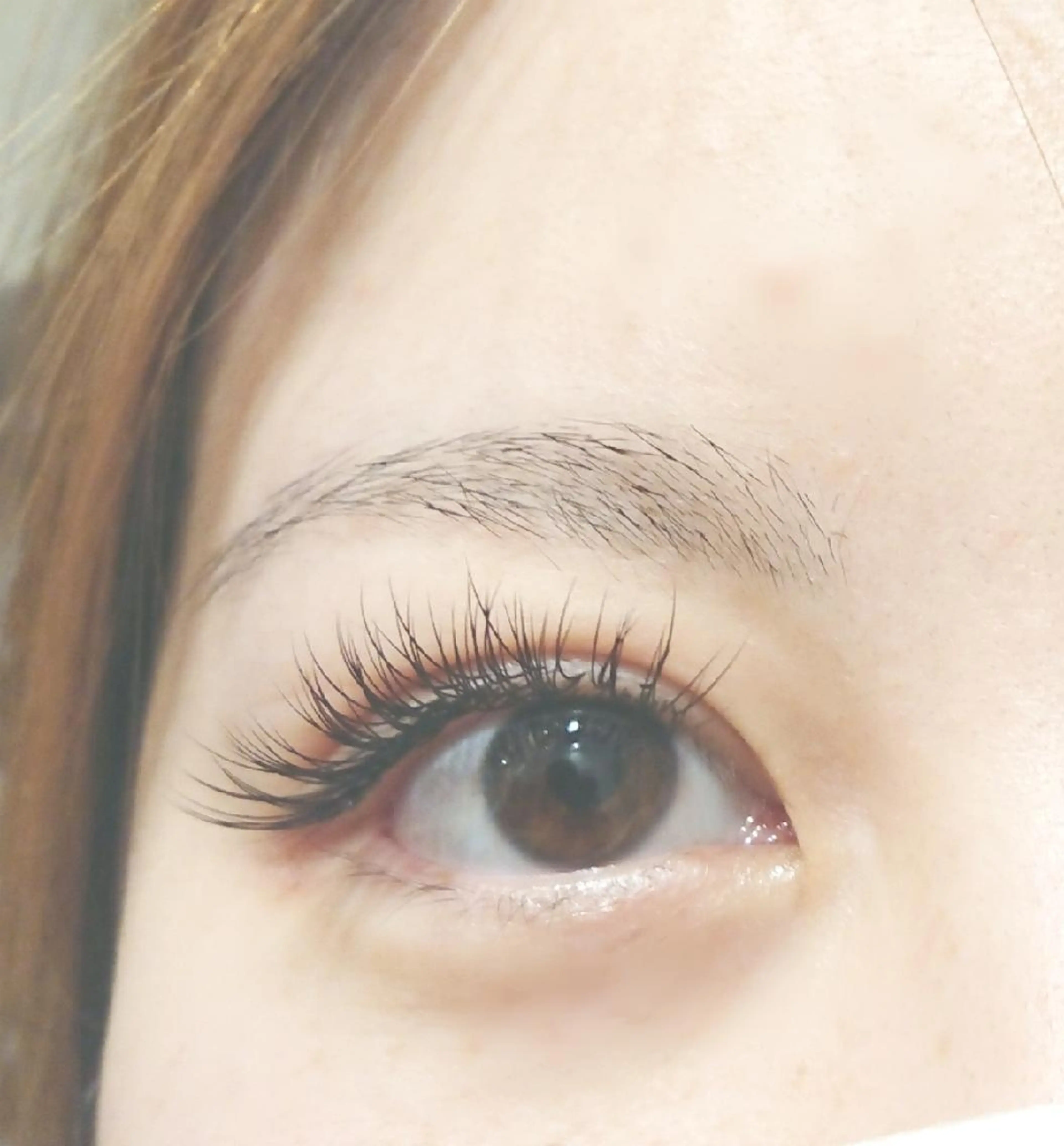 フラットラッシュ160本の写真