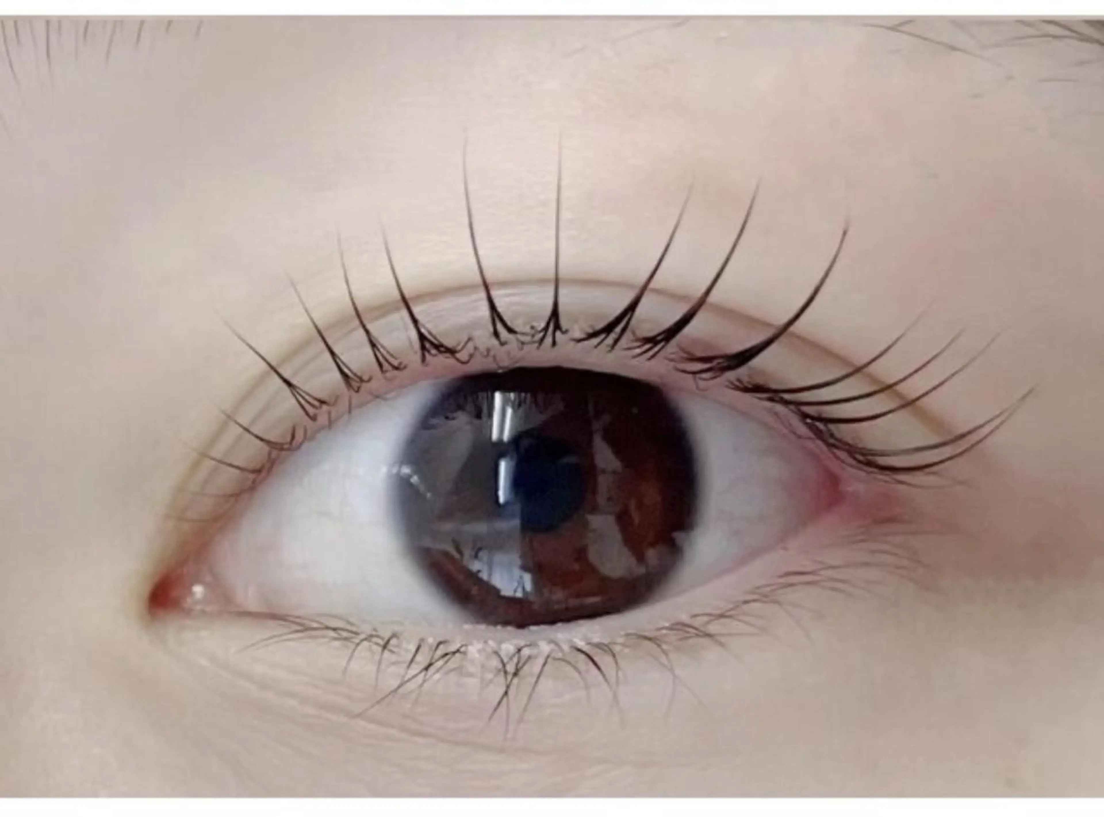 マツエク・マツパ 束感まつ毛 フラットラッシュ 韓国風マツエク ワンホンマツエク 【Elun新宿】 Aimiのマツエク・マツパデザイン