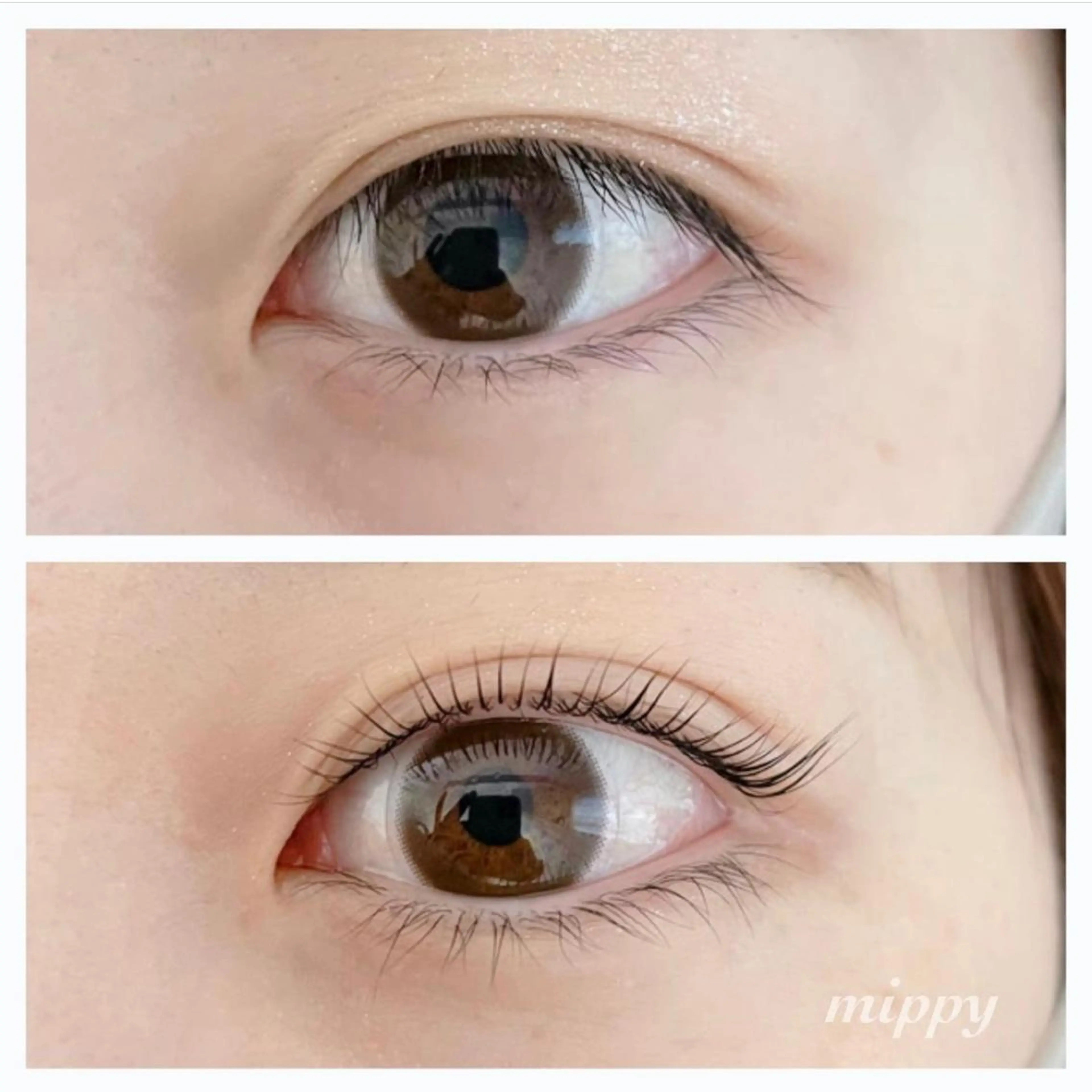 マツエク・マツパ パリジェンヌラッシュリフト ｍｉｐｐｙ 🪽のマツエク・マツパデザイン