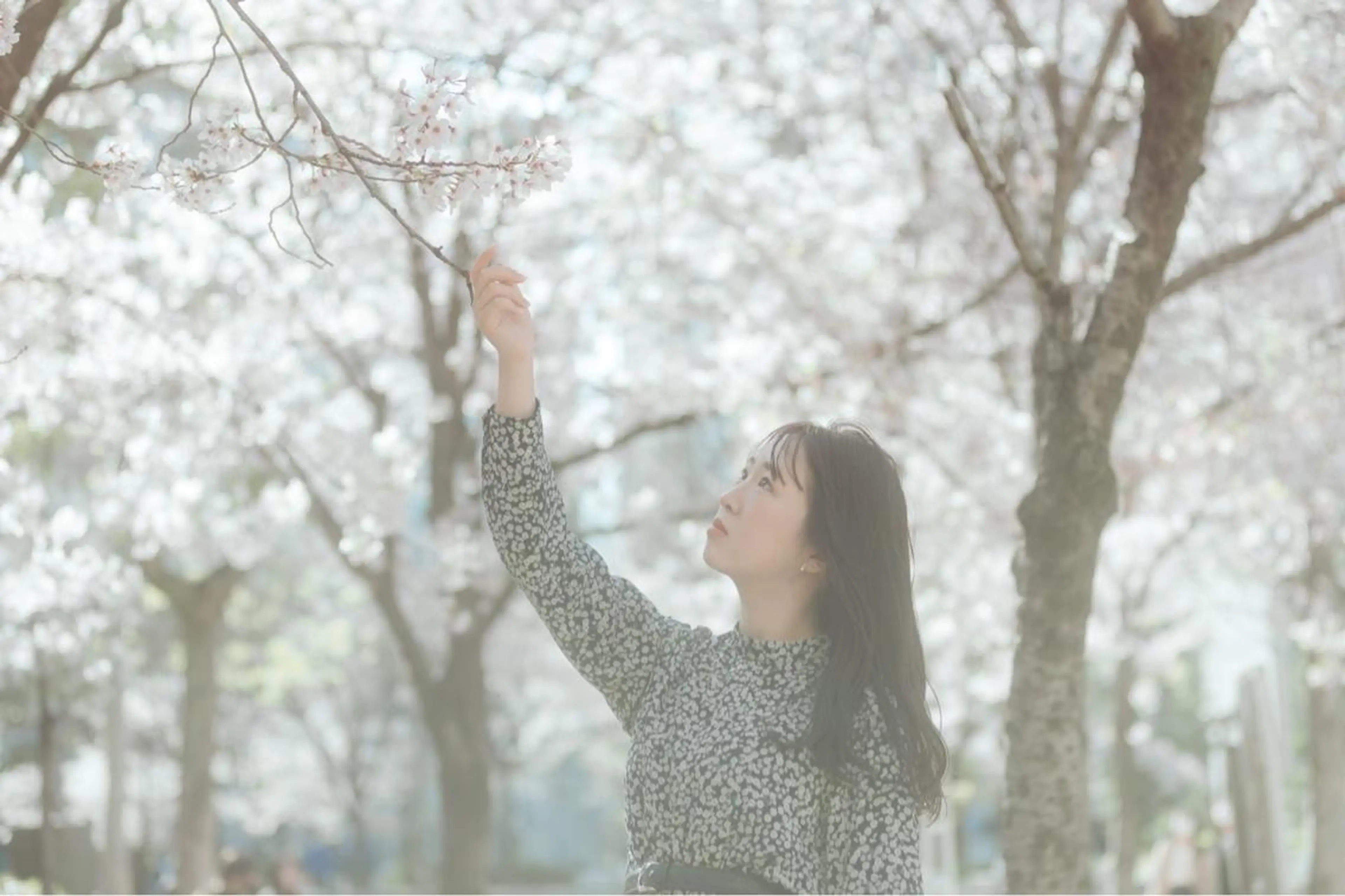 パーソナルカラー診断付き🌈全体カラー🪄の写真