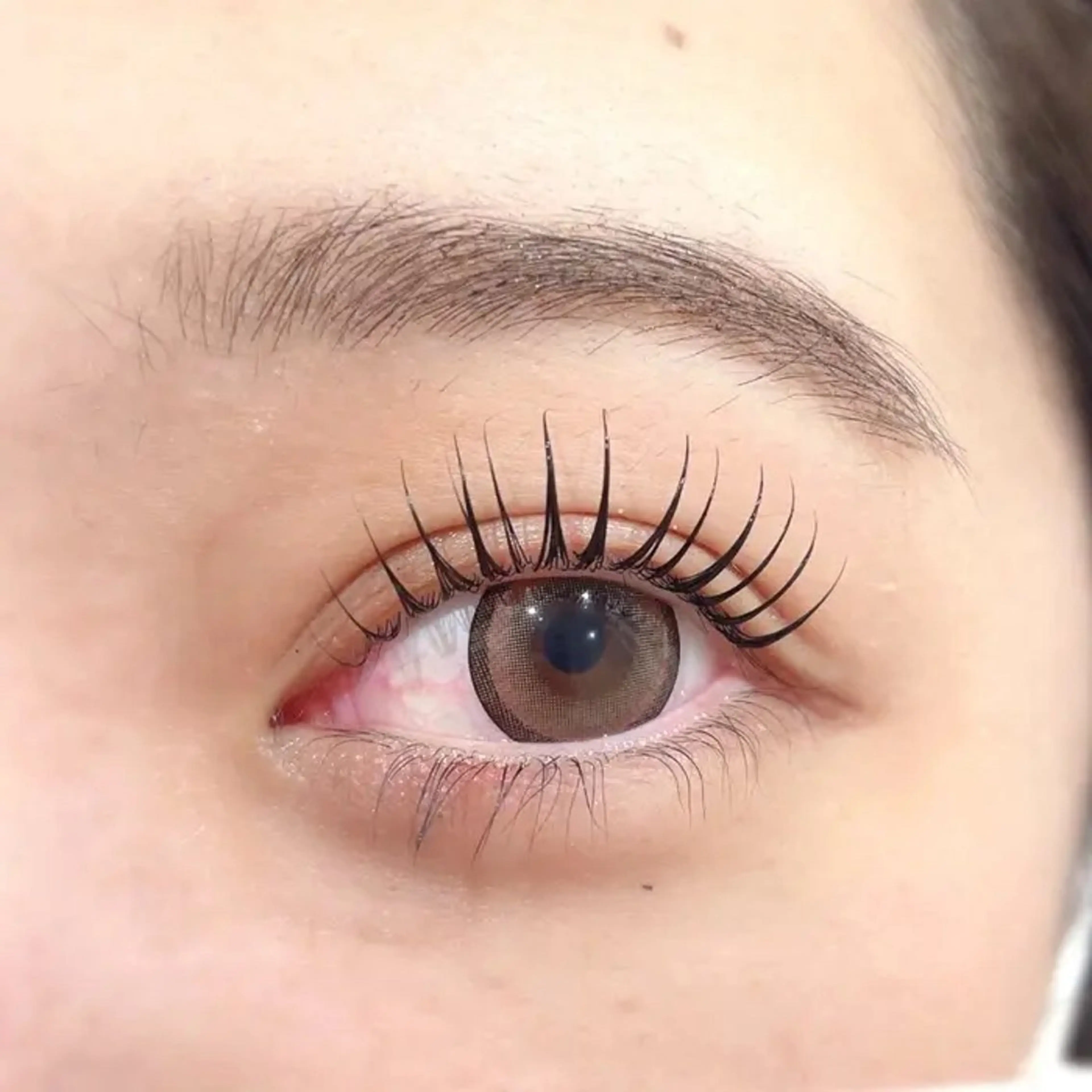 マツエク・マツパ Lafesta Beautyの眉毛・アイブロウイメージ