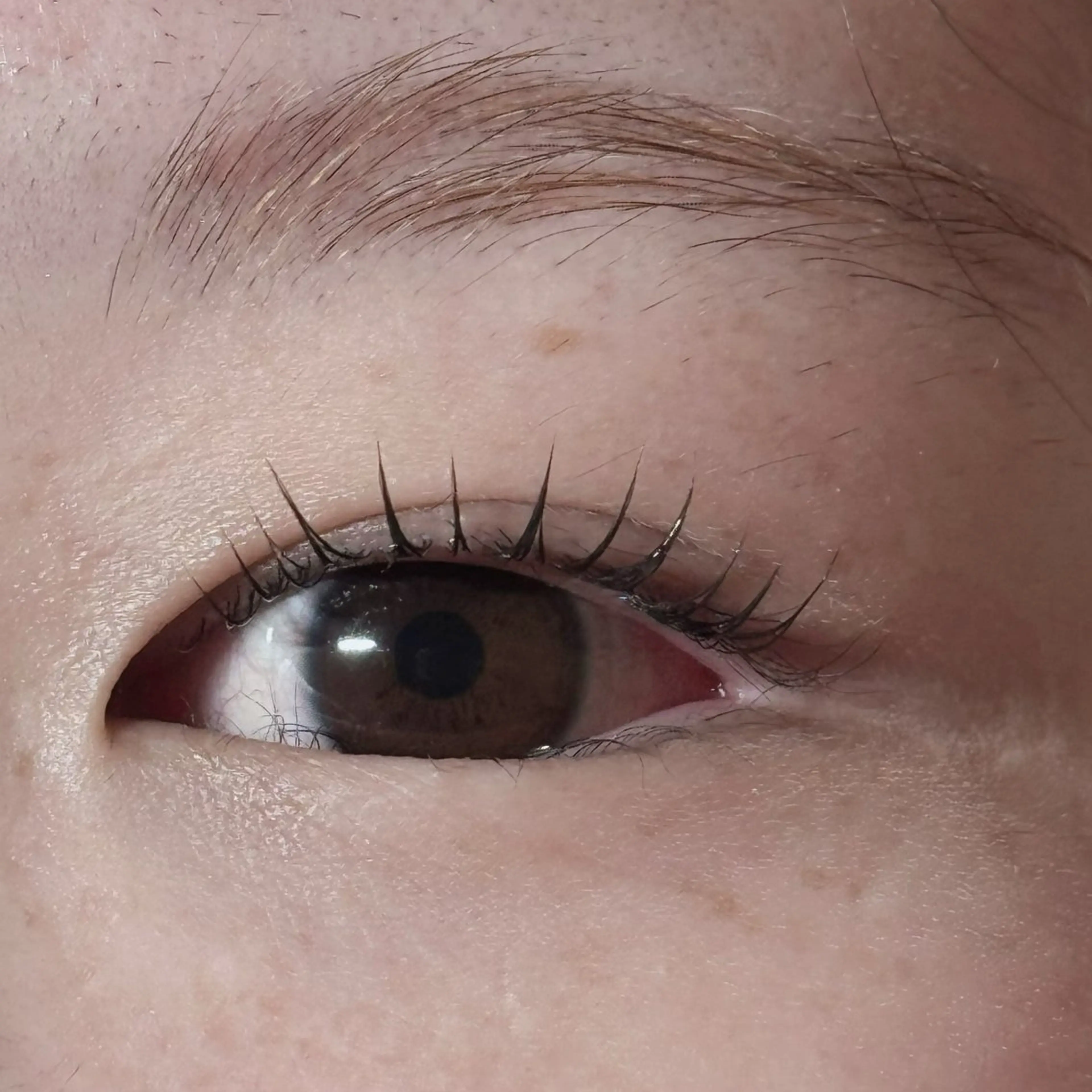 マツエク・マツパ マツパ e&和歌山市駅前店 ユメのマツエク・マツパデザイン