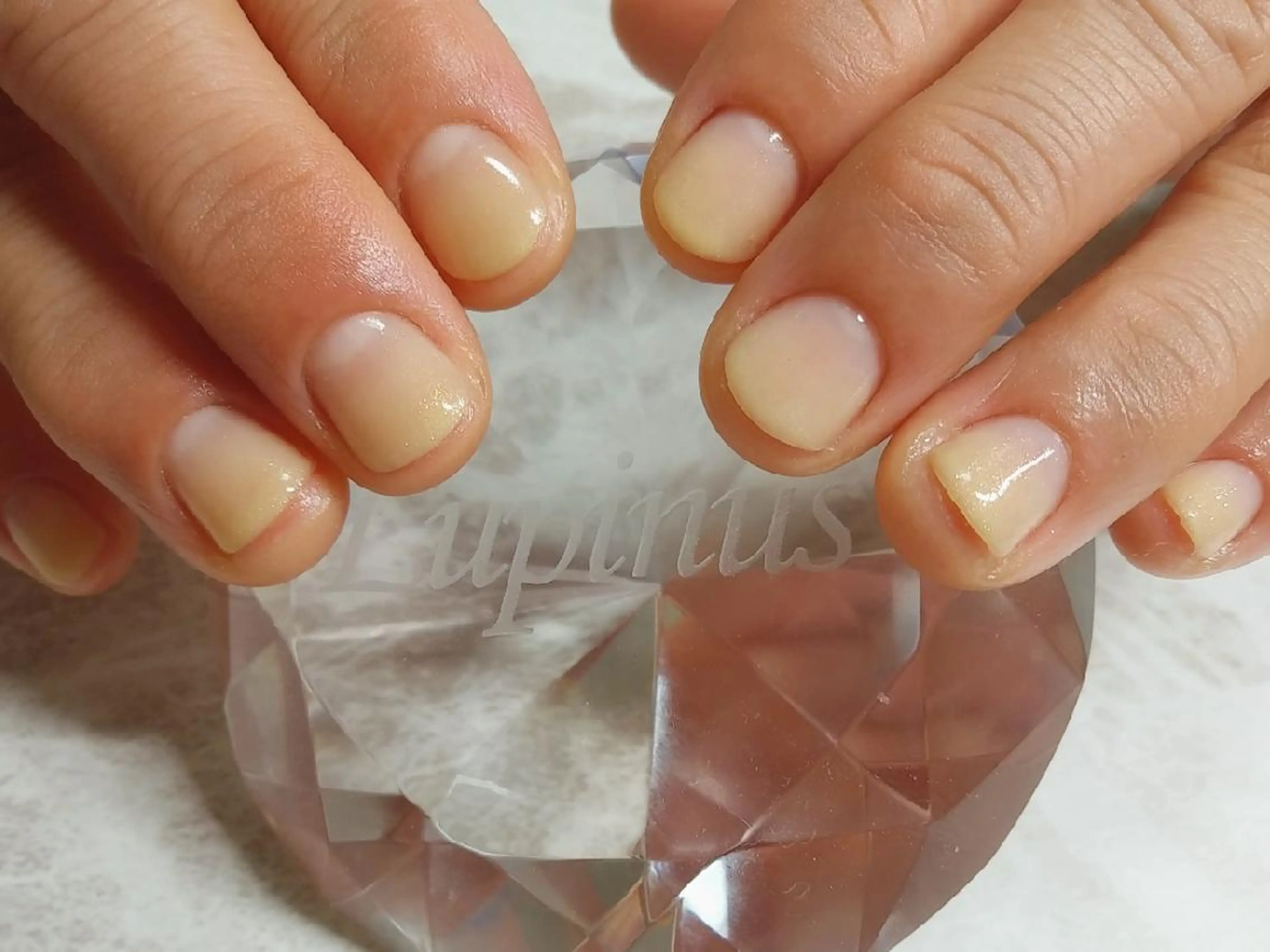 ネイル グラデーション 黄色 ハンドネイル フットネイル Lupinus所属・Lupinus ルピナスのネイルデザイン