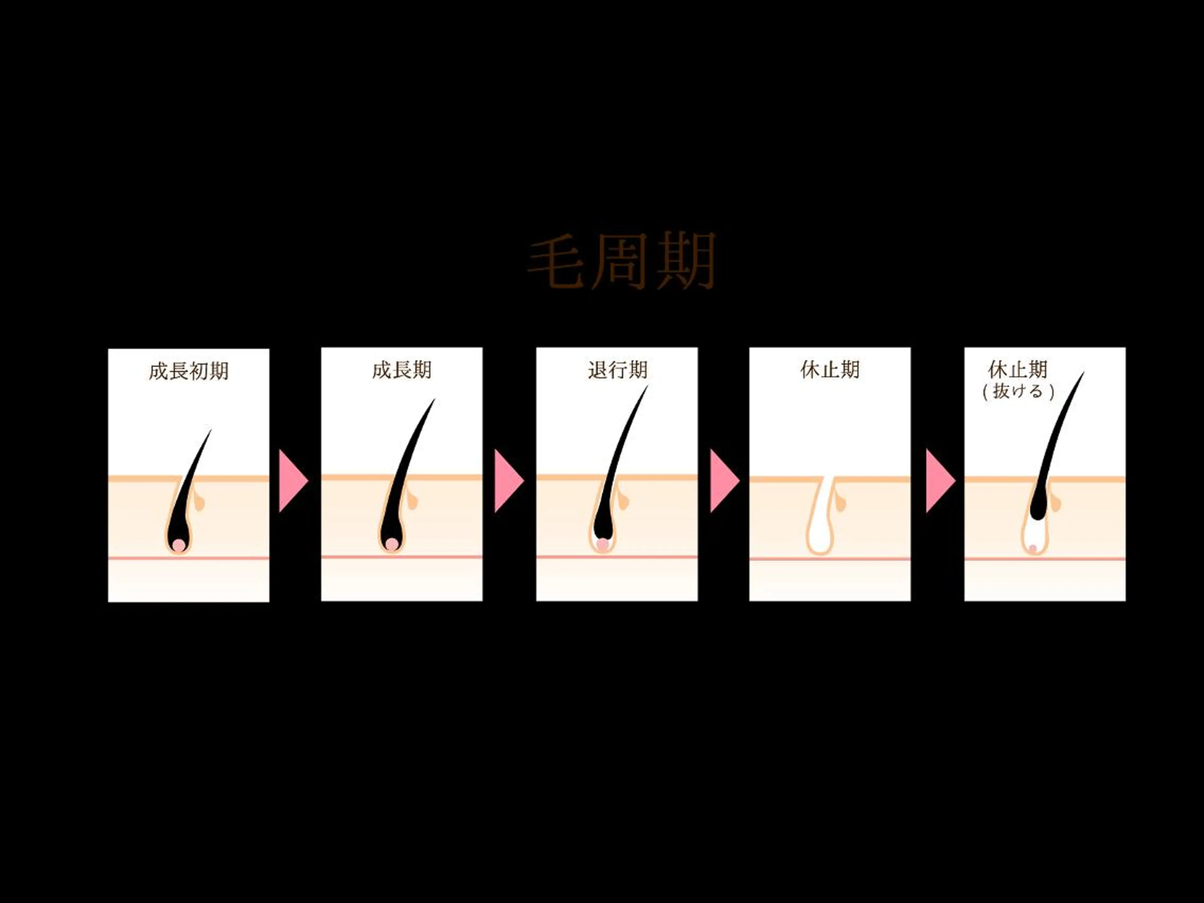 マツエク・マツパ 束感・に合わせまつ毛 🫧吉祥寺🫧のマツエク・マツパデザイン