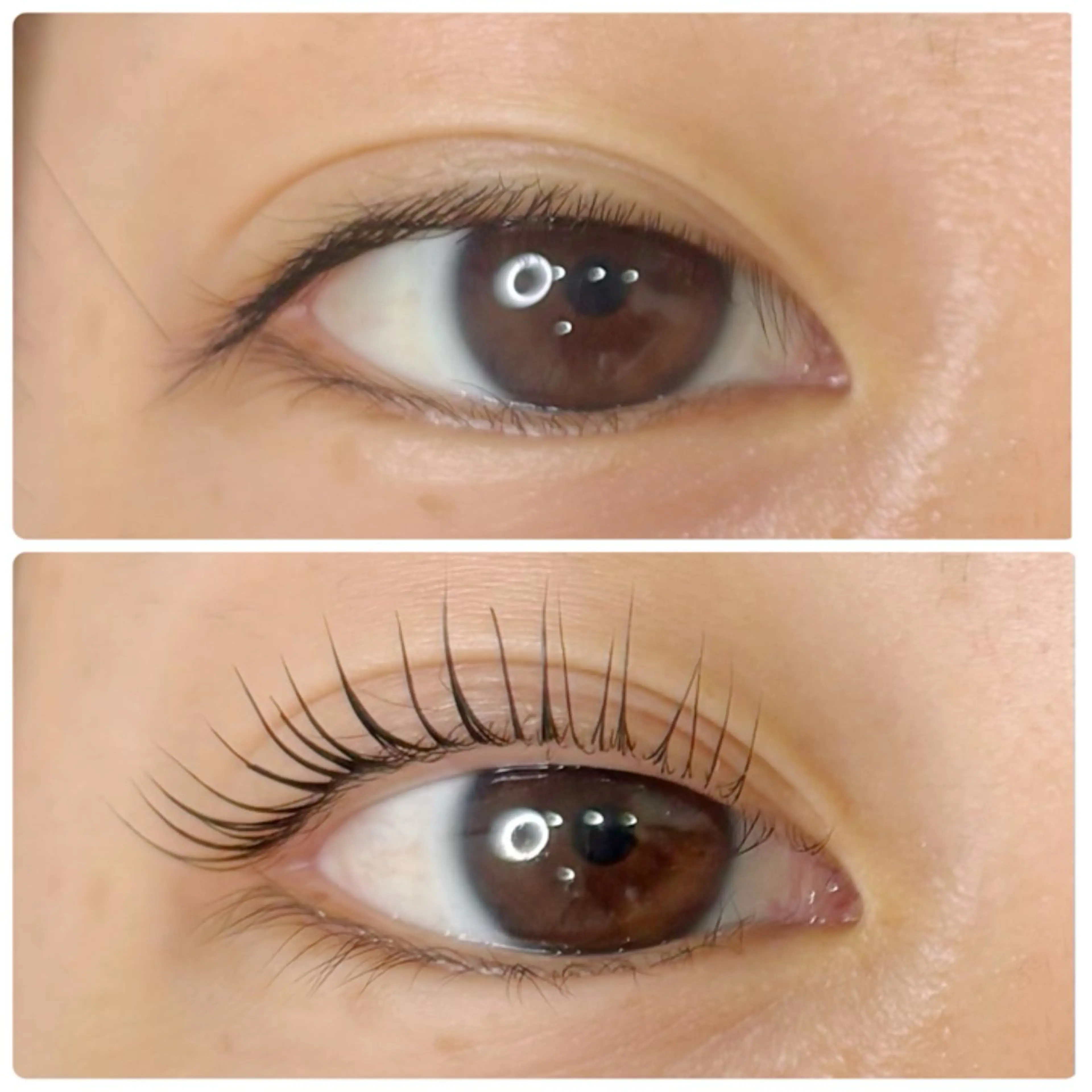 マツエク・マツパ パリジェンヌラッシュリフト viviell🌙 高藤の眉毛・アイブロウイメージ