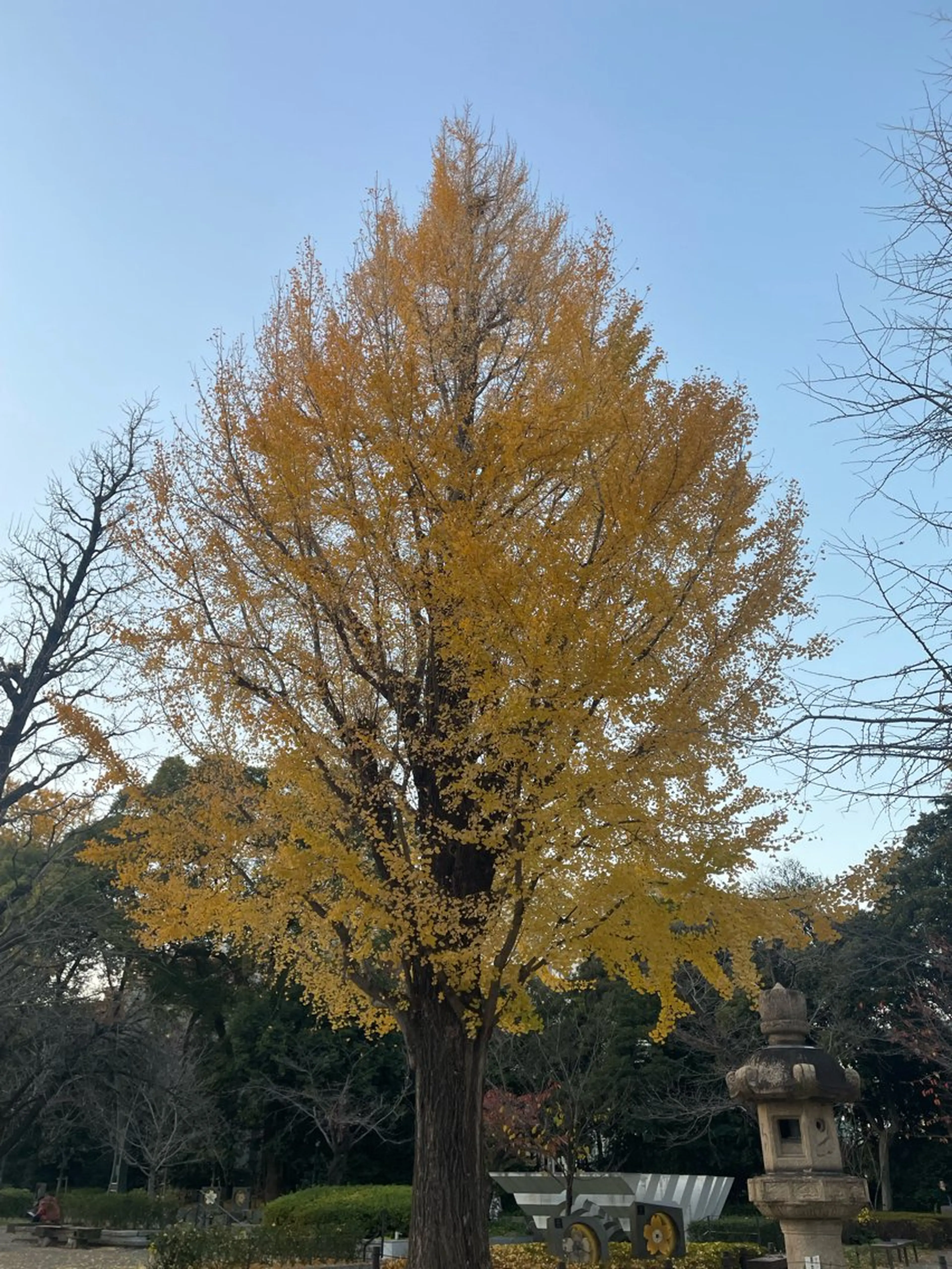 パーマ ワックス脱毛 eight たまプラーザ　ニイナのマツエク・マツパデザイン