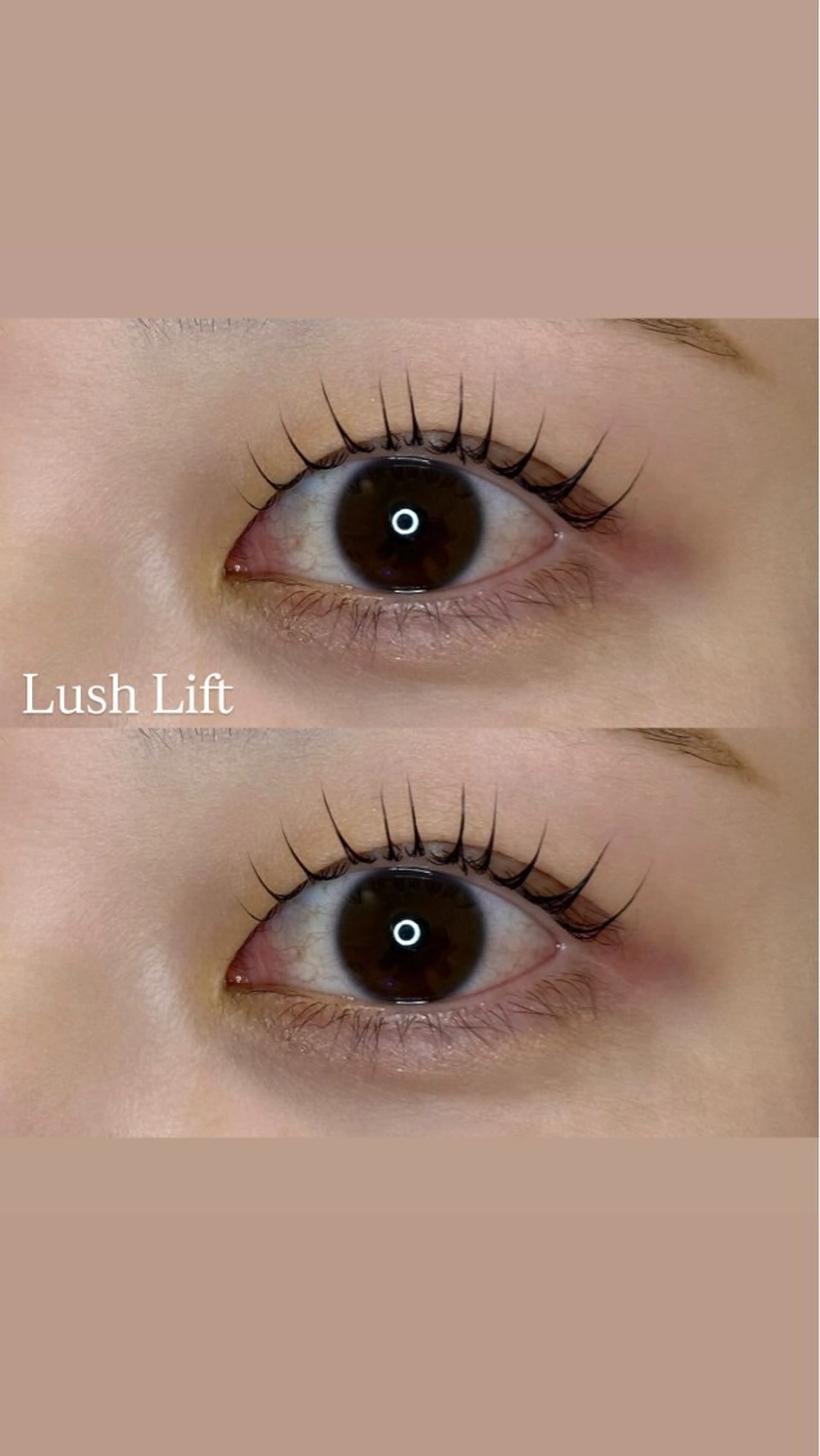 〔 Open記念限定〕次世代まつ毛パーマ上下の写真