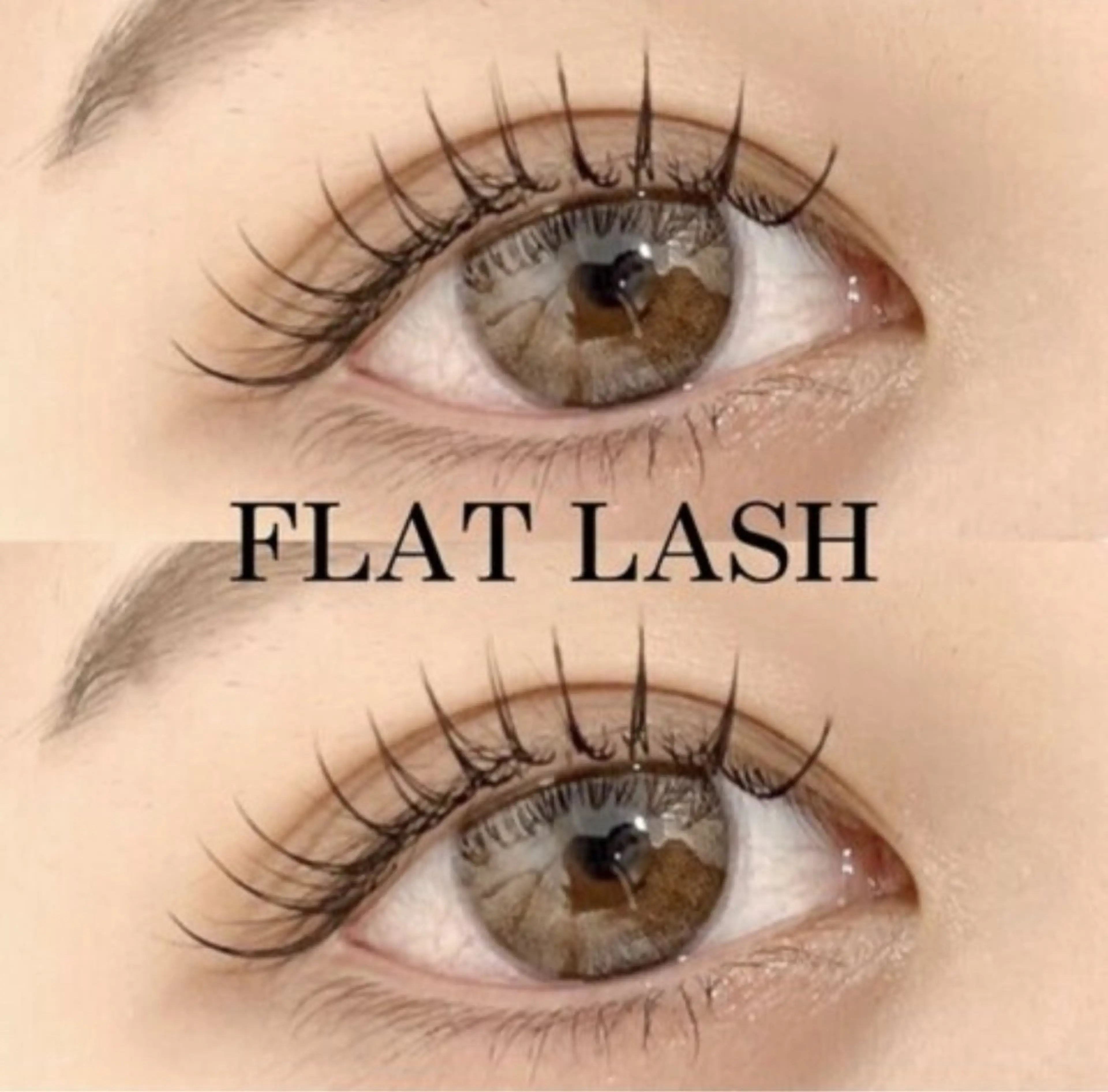 【フラットラッシュ】＊100本 + コーティング 🌷の写真