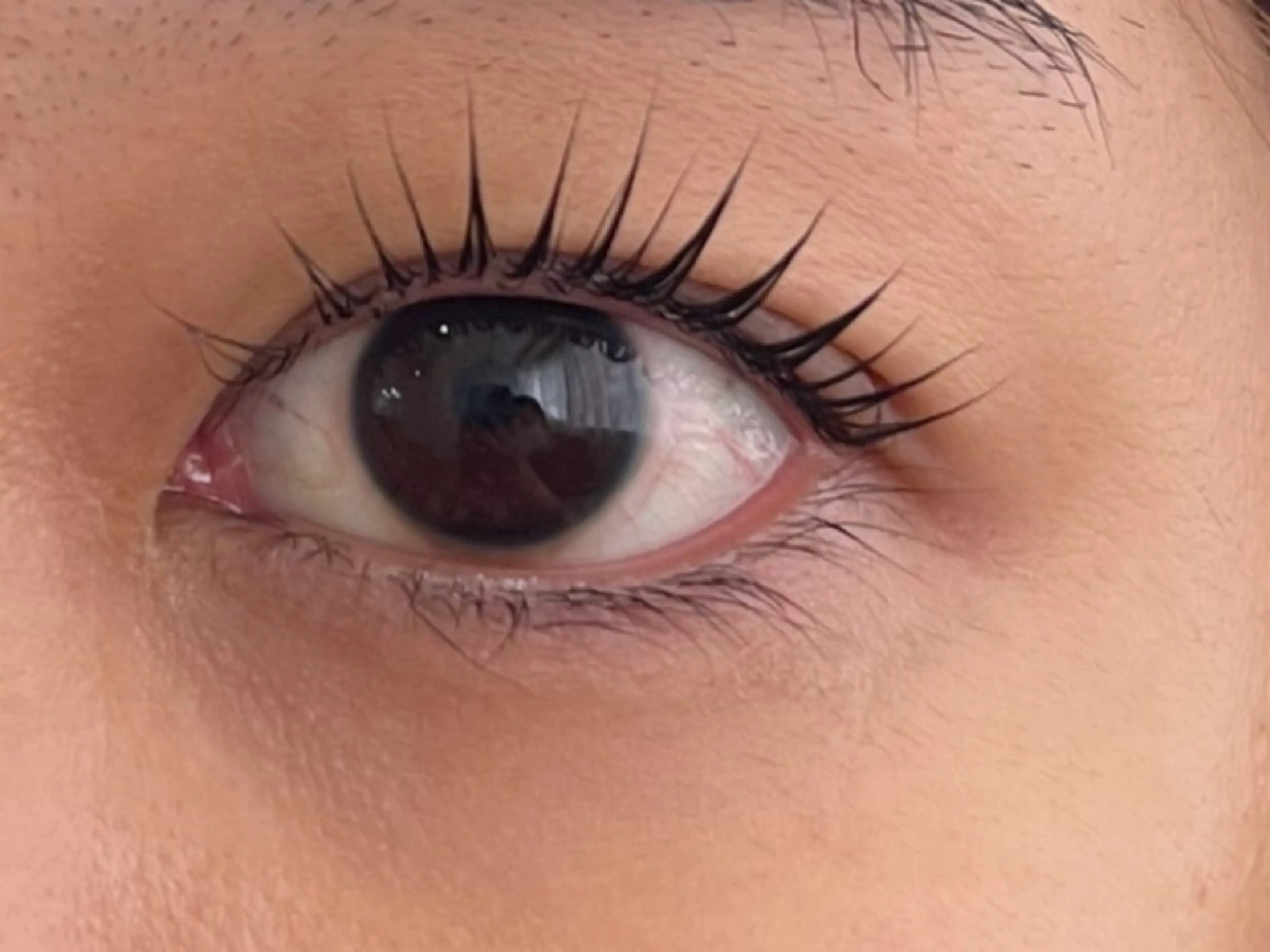 マツエク・マツパ 山脇🐋🤍 アンジェリカ錦糸町のマツエク・マツパデザイン