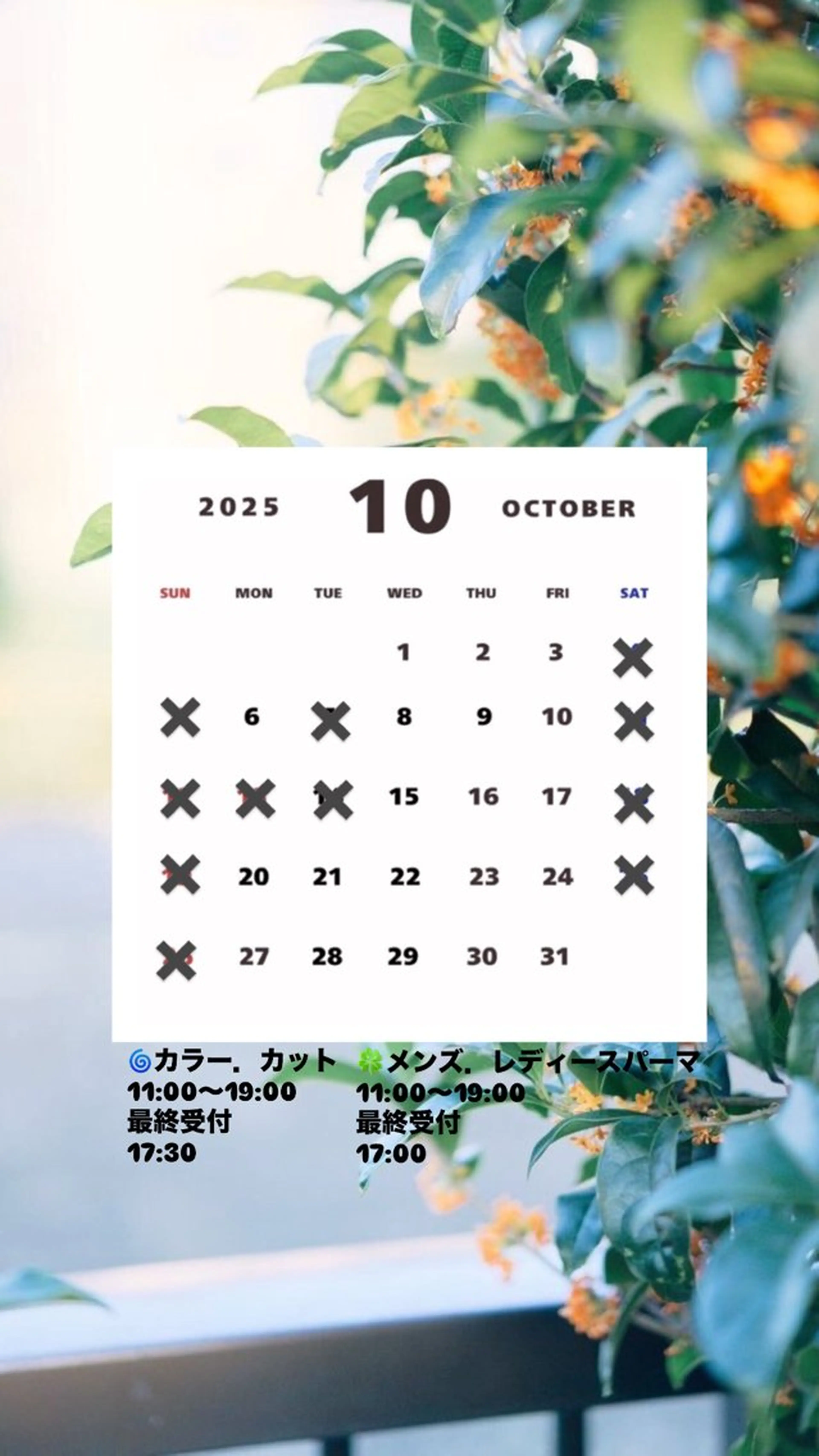 カラー Agu hair noman マナのヘアスタイル