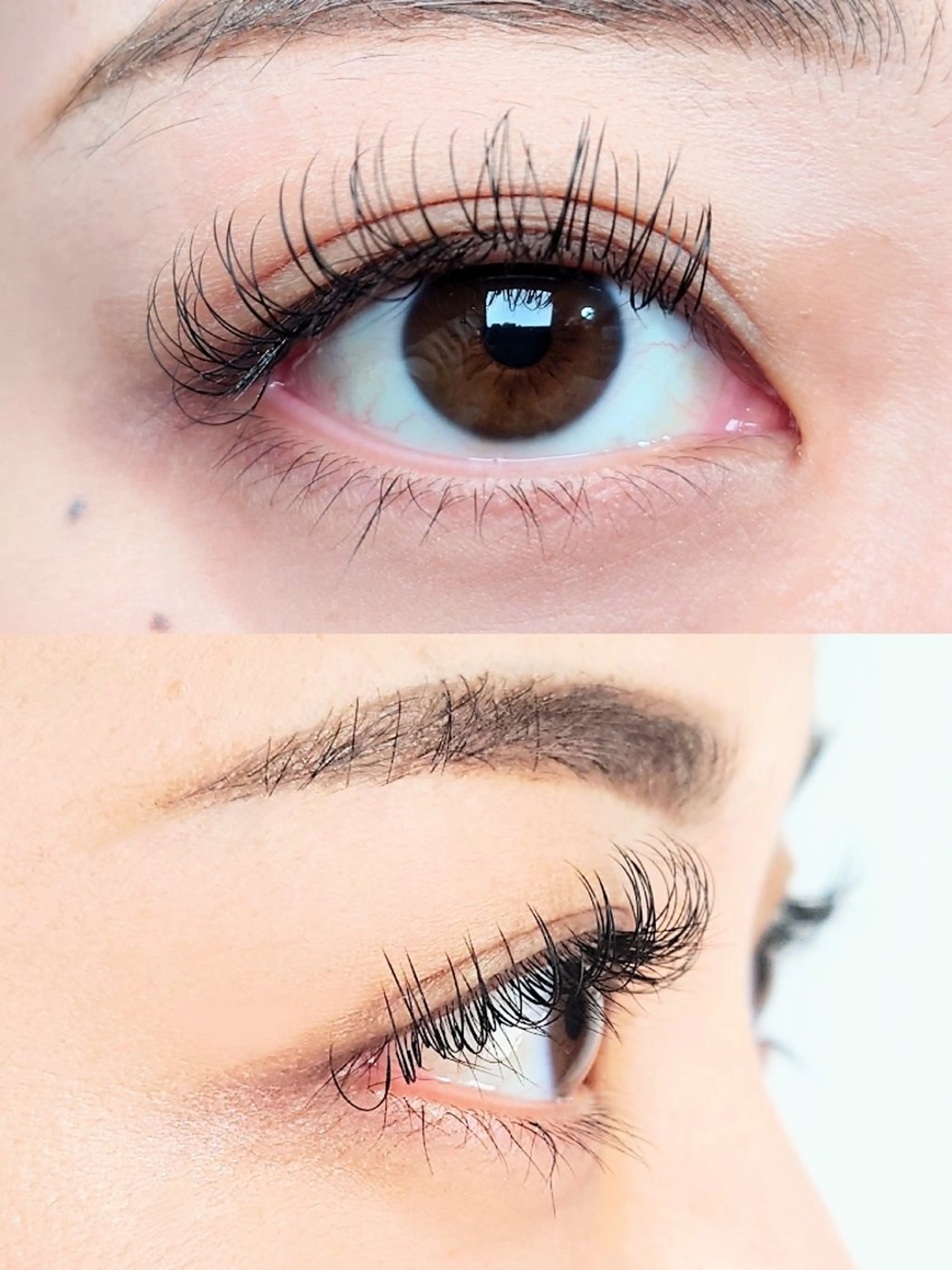 マツエク・マツパ Dカール フラットラッシュ マツエク joie ange 難波店　斎藤のマツエク・マツパデザイン