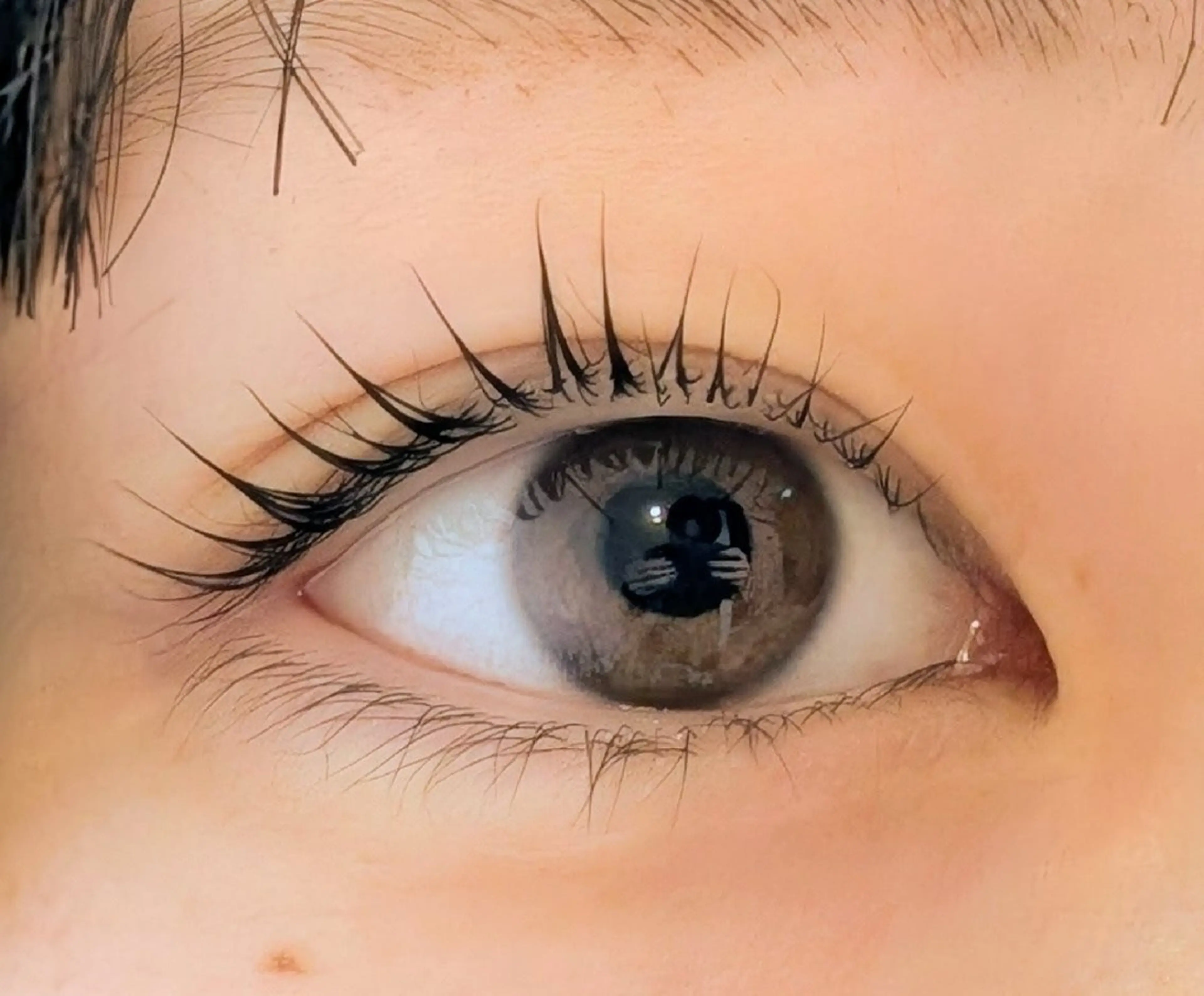 マツエク・マツパ まつげパーマ Sun Brown Ryu-gaのマツエク・マツパデザイン