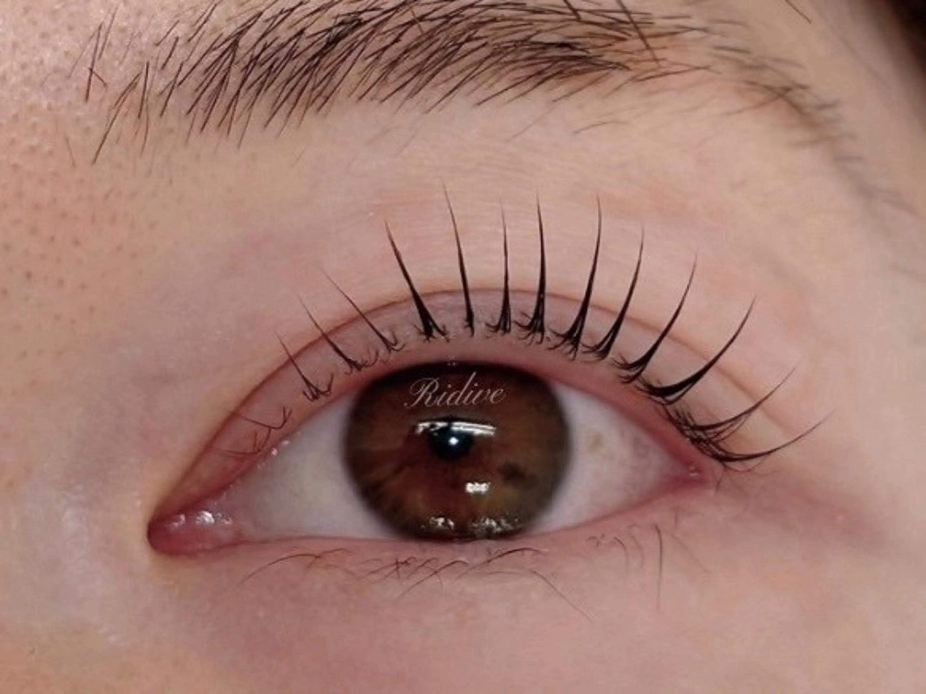 マツエク・マツパ Ridive Rinoの眉毛・アイブロウイメージ