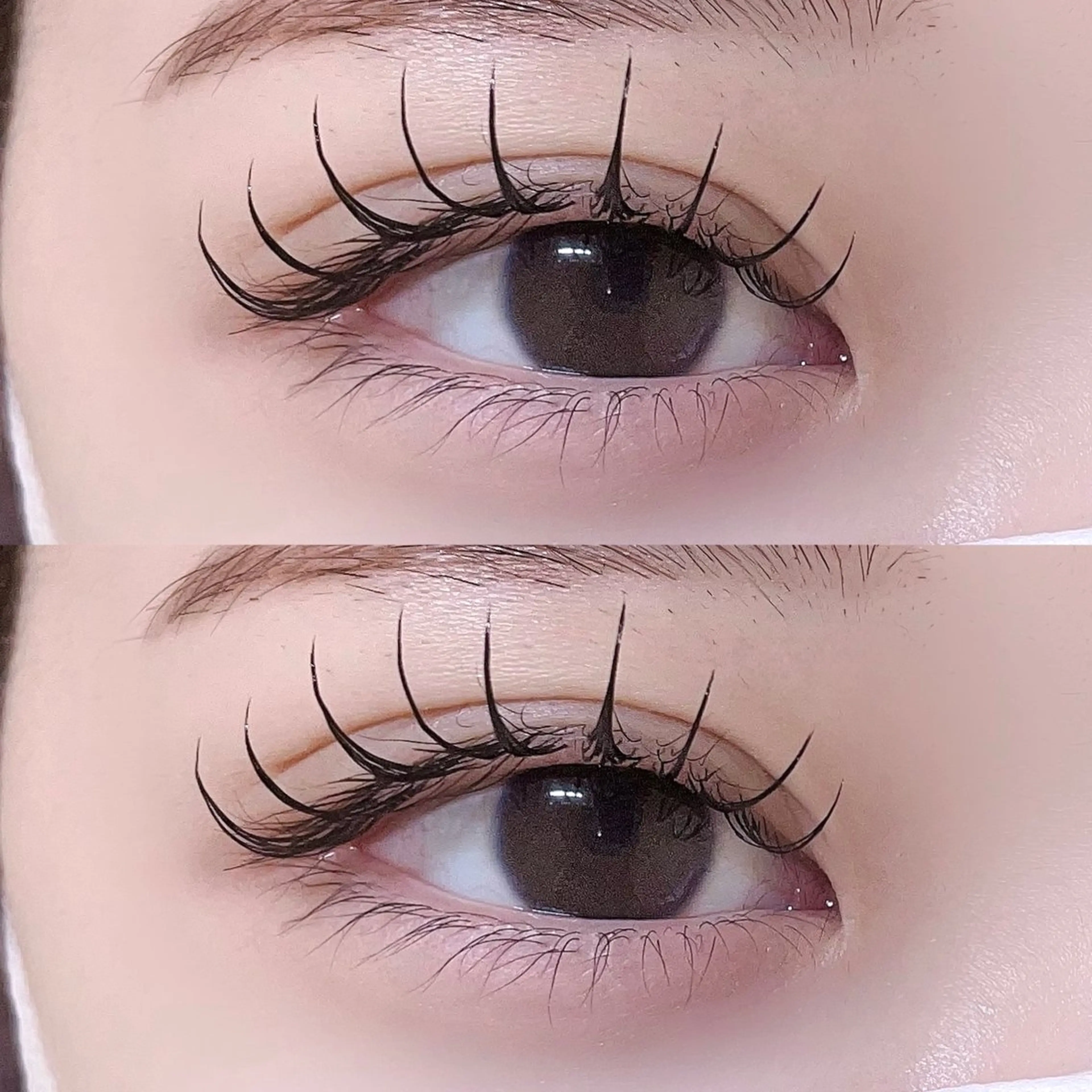 マツエク・マツパ フラットラッシュ マツエク 🦋束感/LEDエク Hibiki🦋のマツエク・マツパデザイン