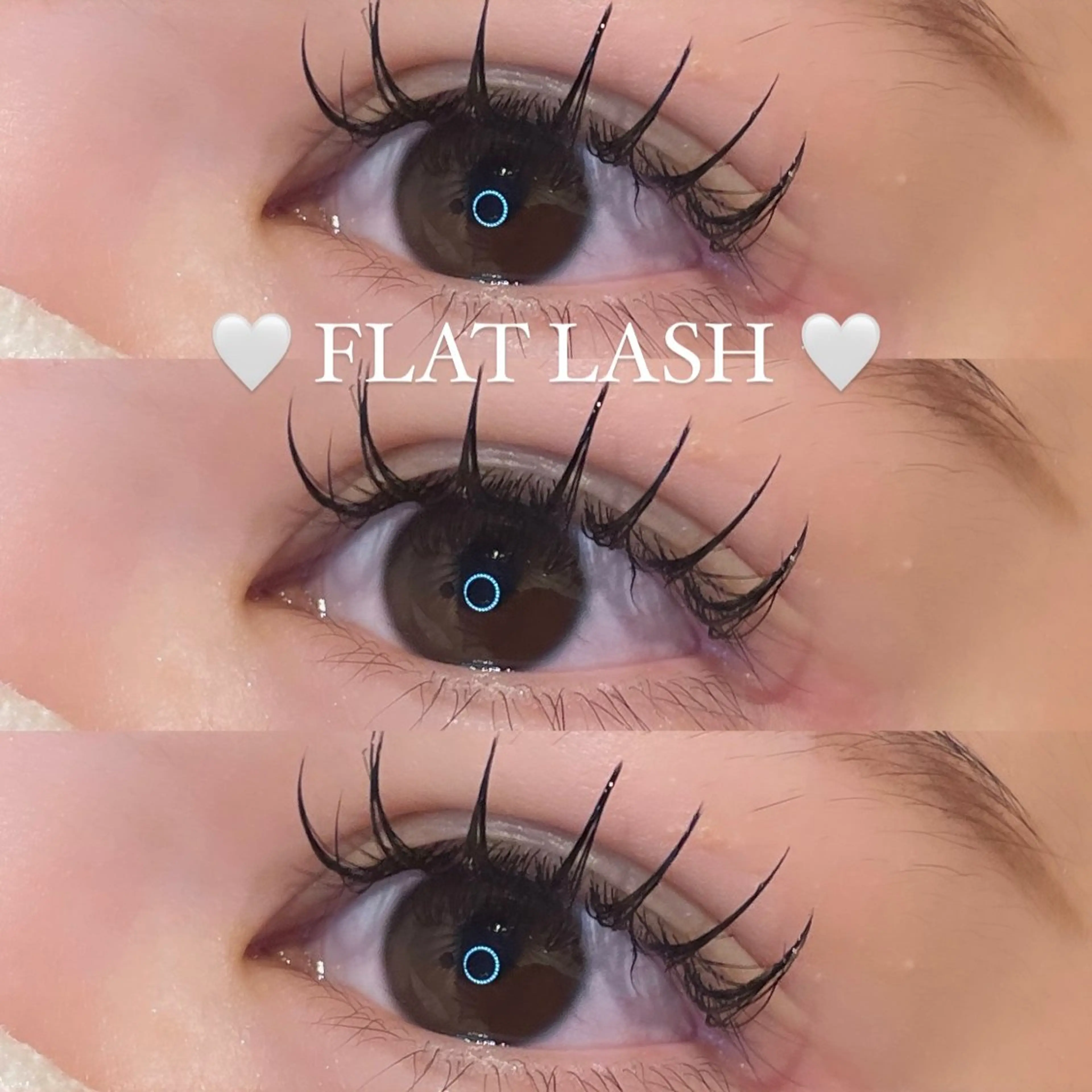 🤍【新規オフ無料】フラットラッシュorセーブル 100本🤍の写真