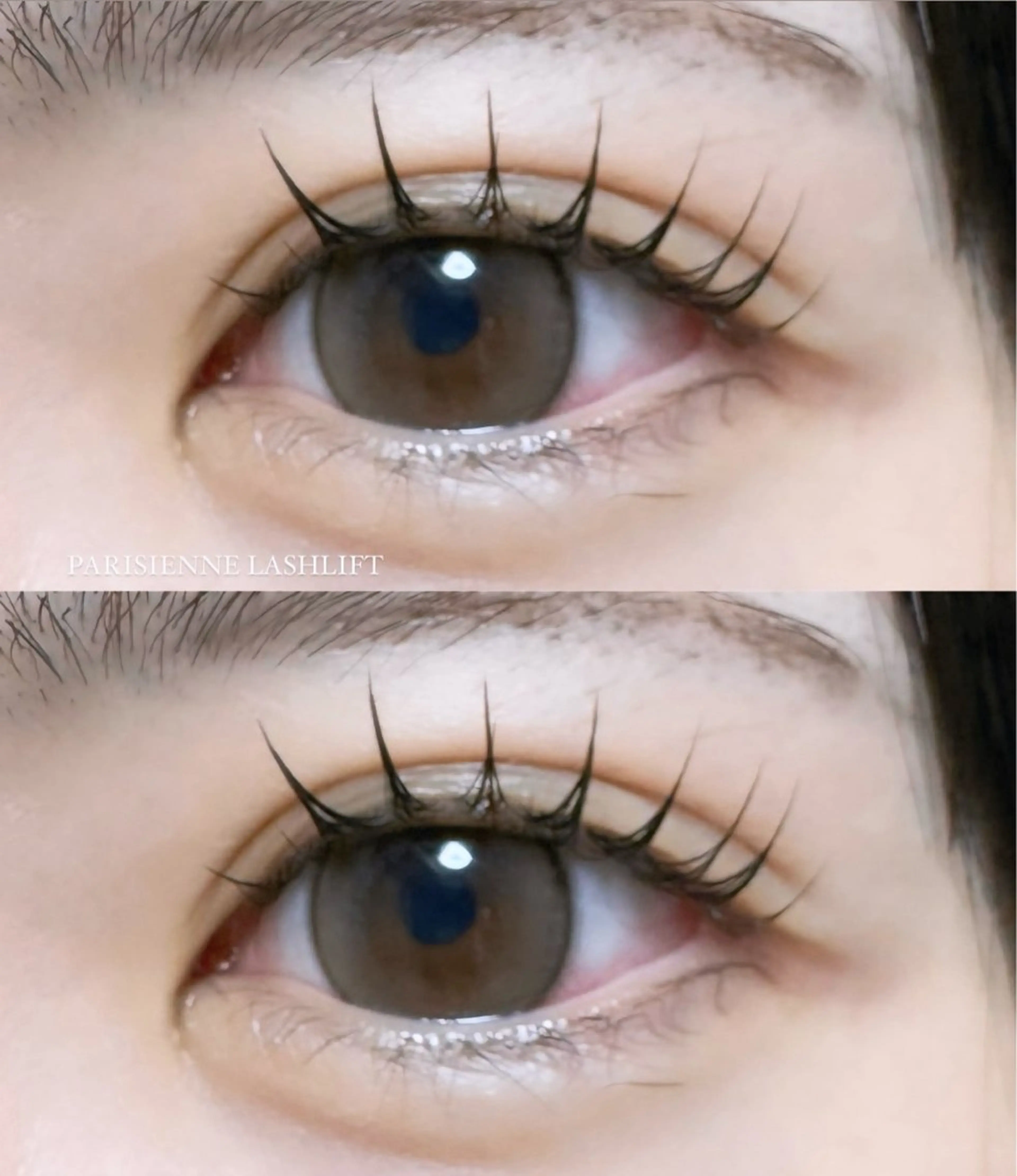 マツエク・マツパ マリーテレジア 🎀KONNO🎀のマツエク・マツパデザイン