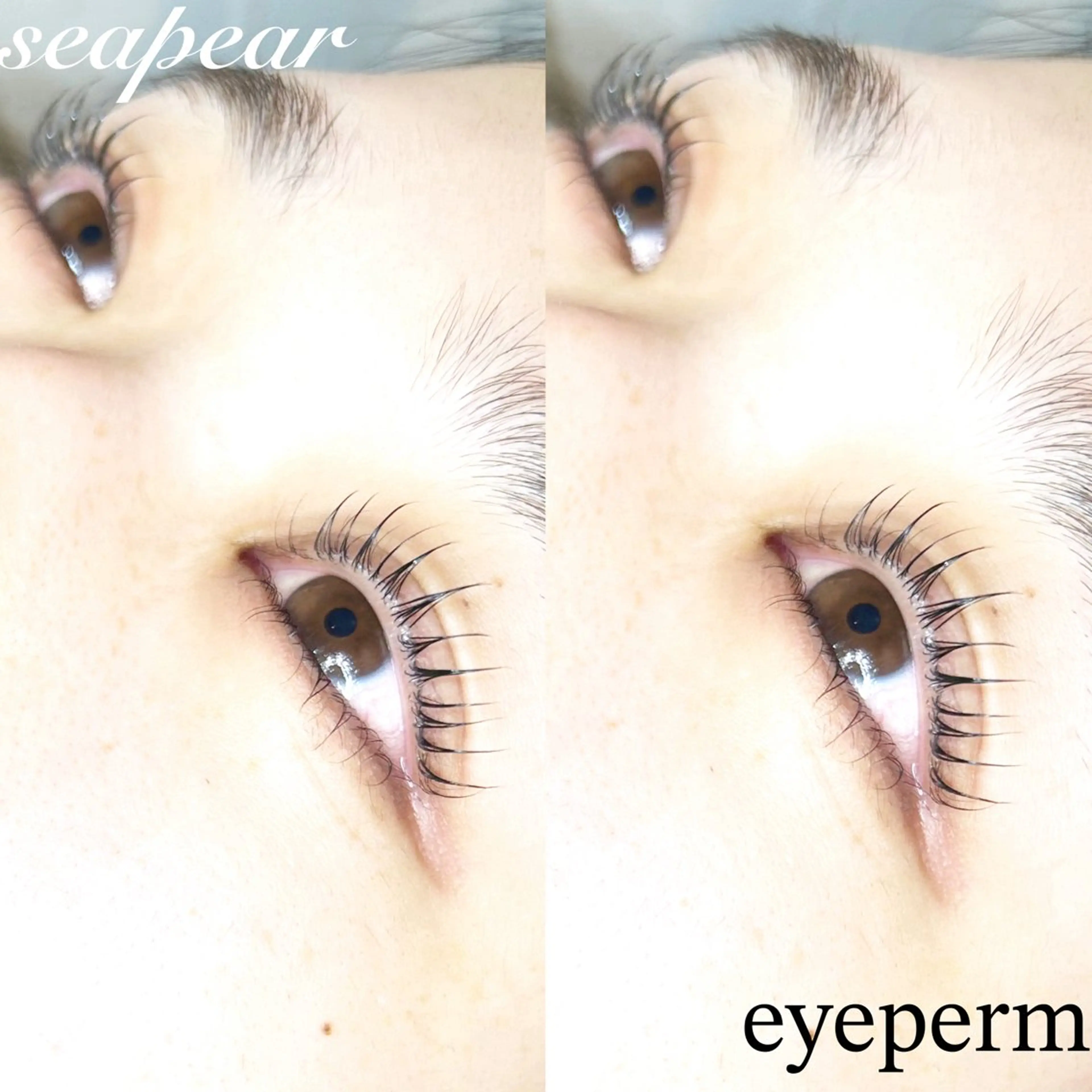 ✨次世代上下まつ毛パーマ✨(ヘッドマッサージ付)の写真