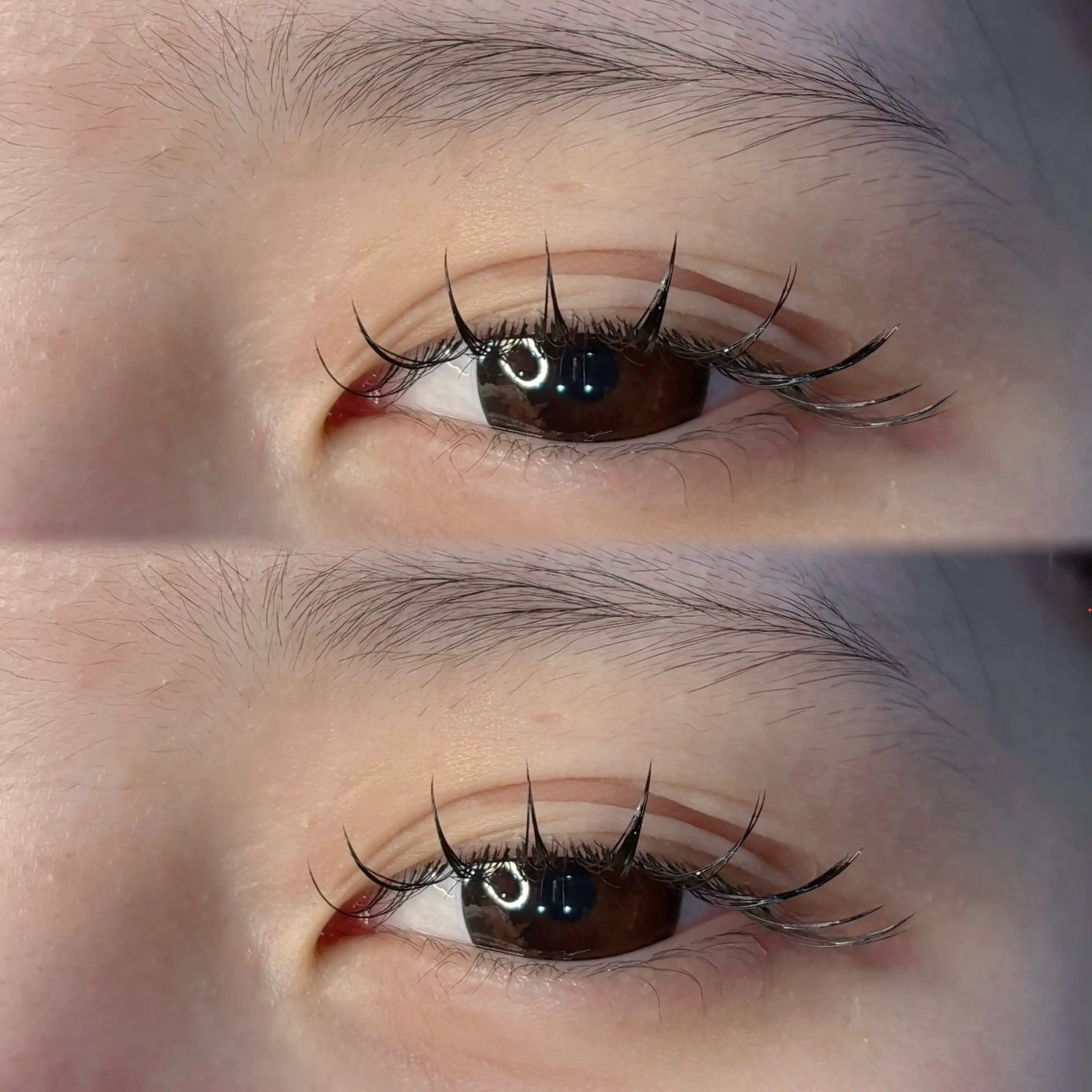 フラットマットラッシュ120本→通常8,300円【無料オフ込】の写真