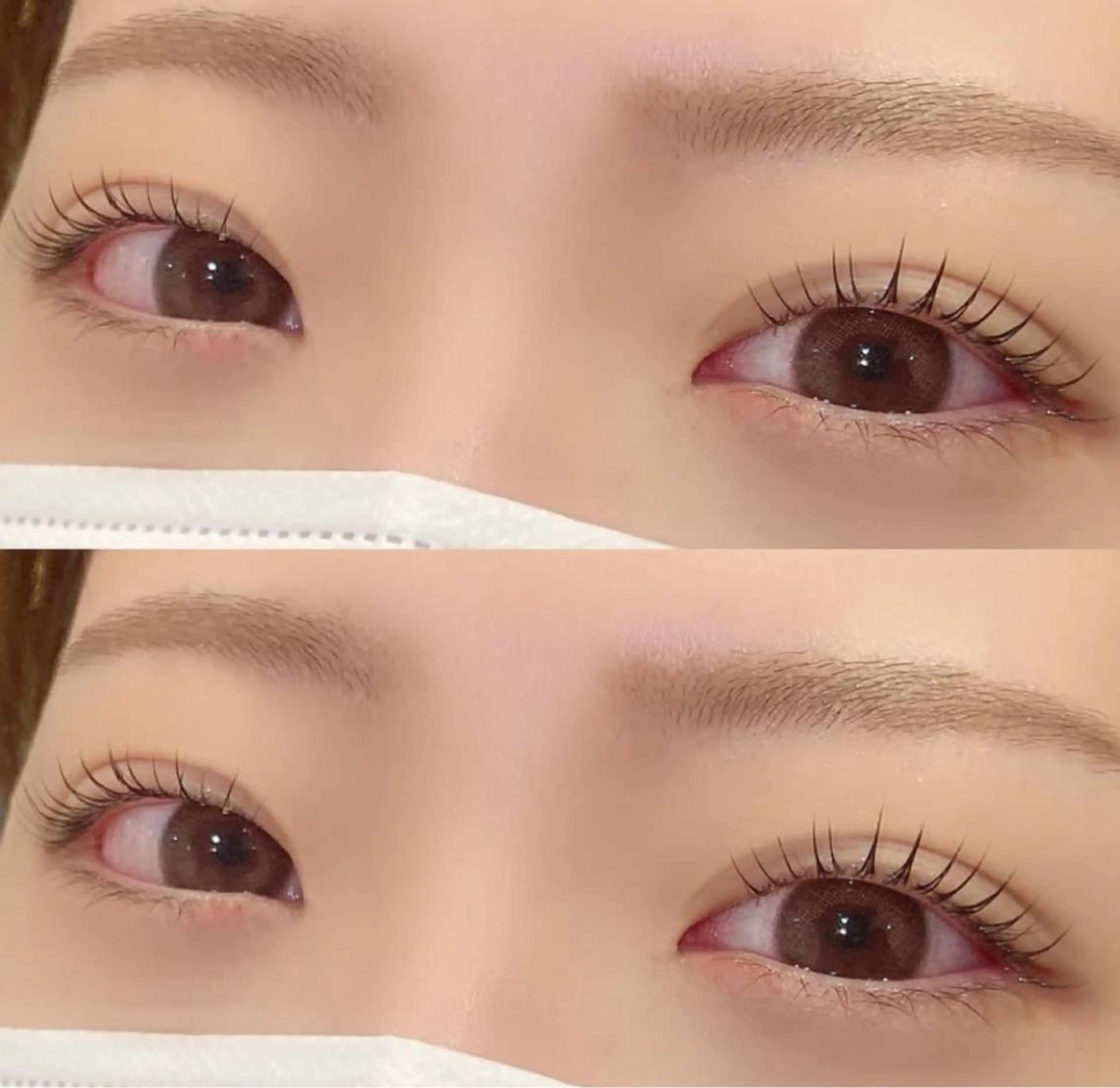 【朝の時短セット】メイクいらずの目元完成♪まつ毛パーマ上+眉毛WAXスタイリングの写真