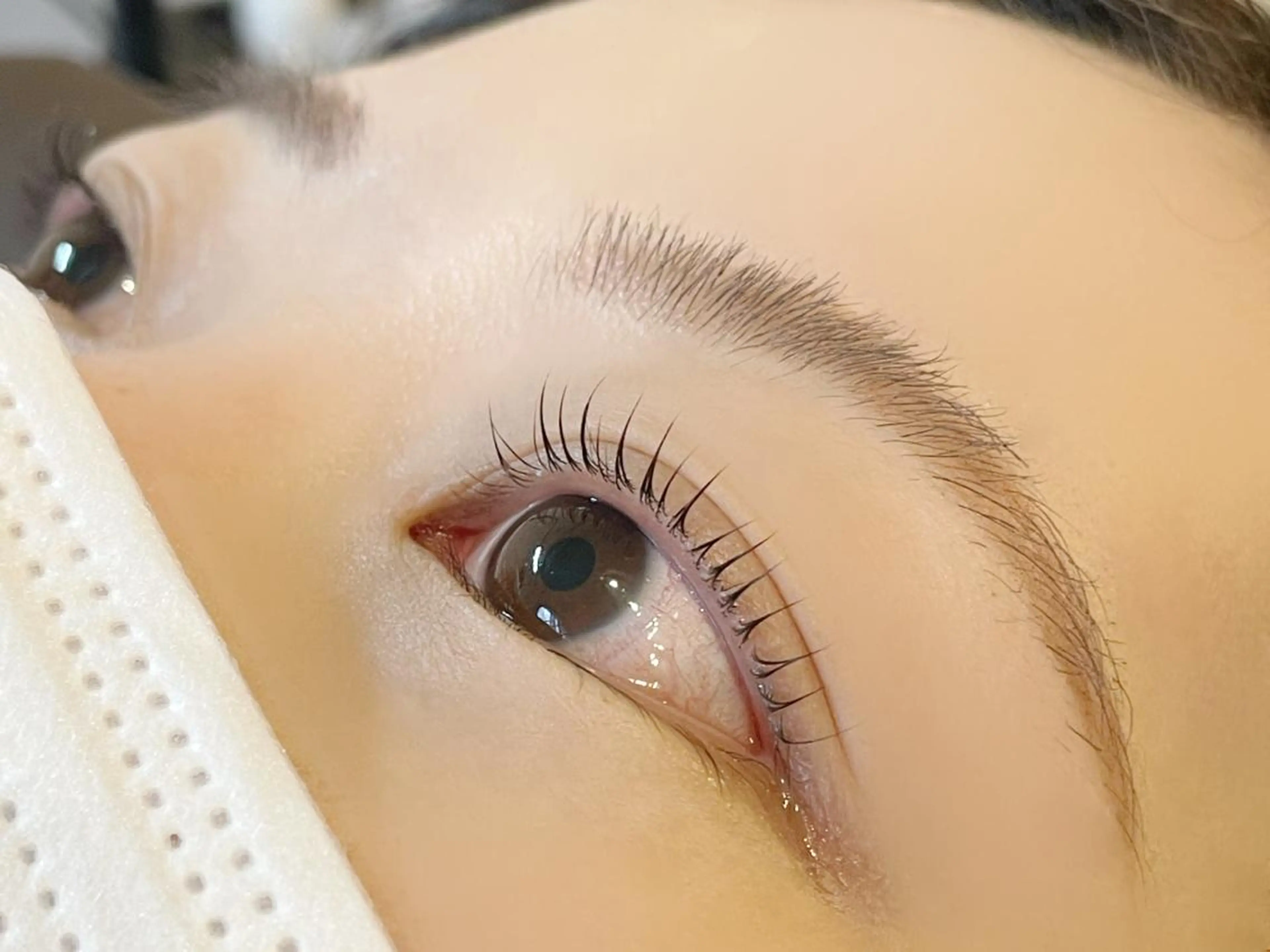 次世代まつ毛パーマ上（束間コーティング仕上げ）の写真