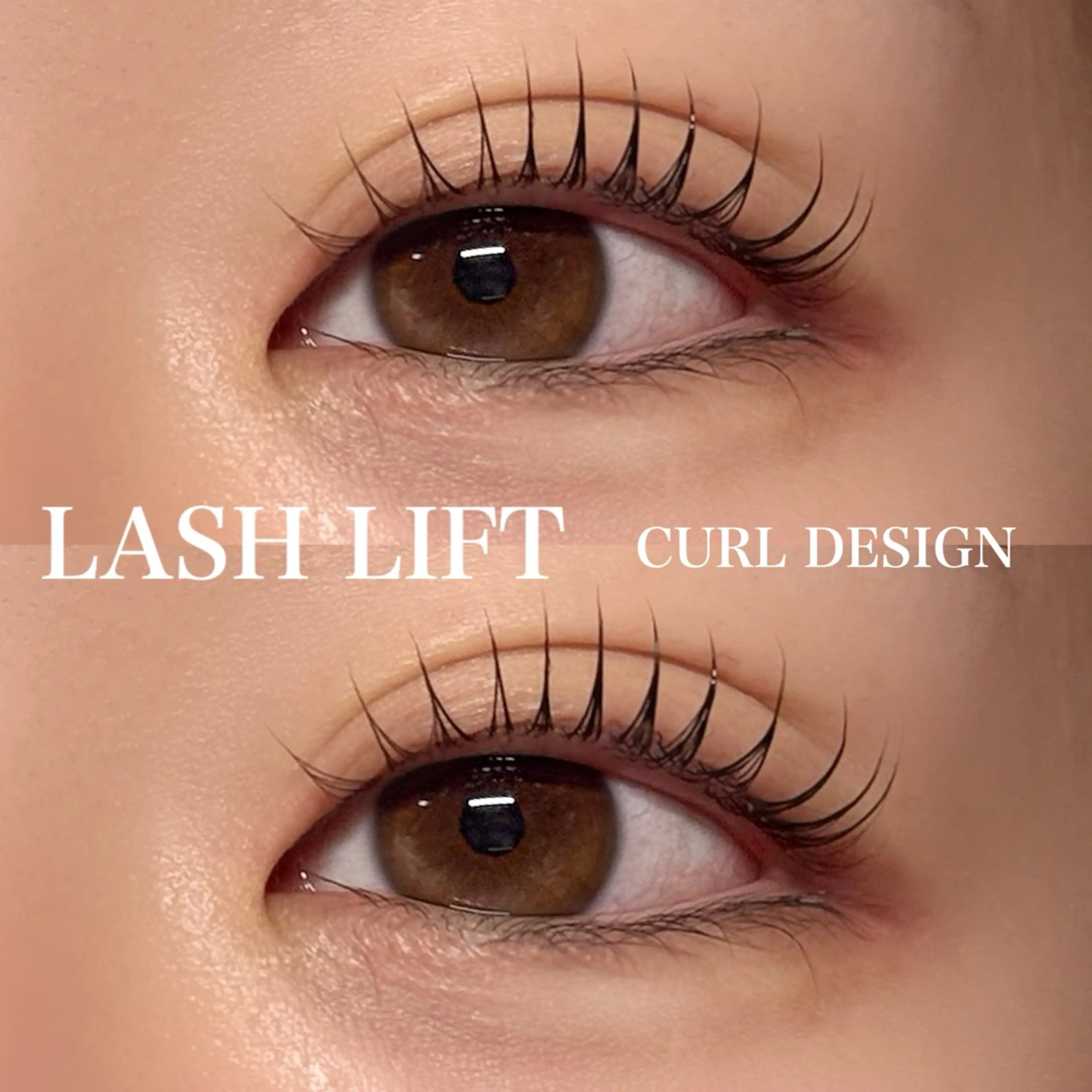 🧸まつげパーマ🧸【束感コーティング仕上げ付き】の写真