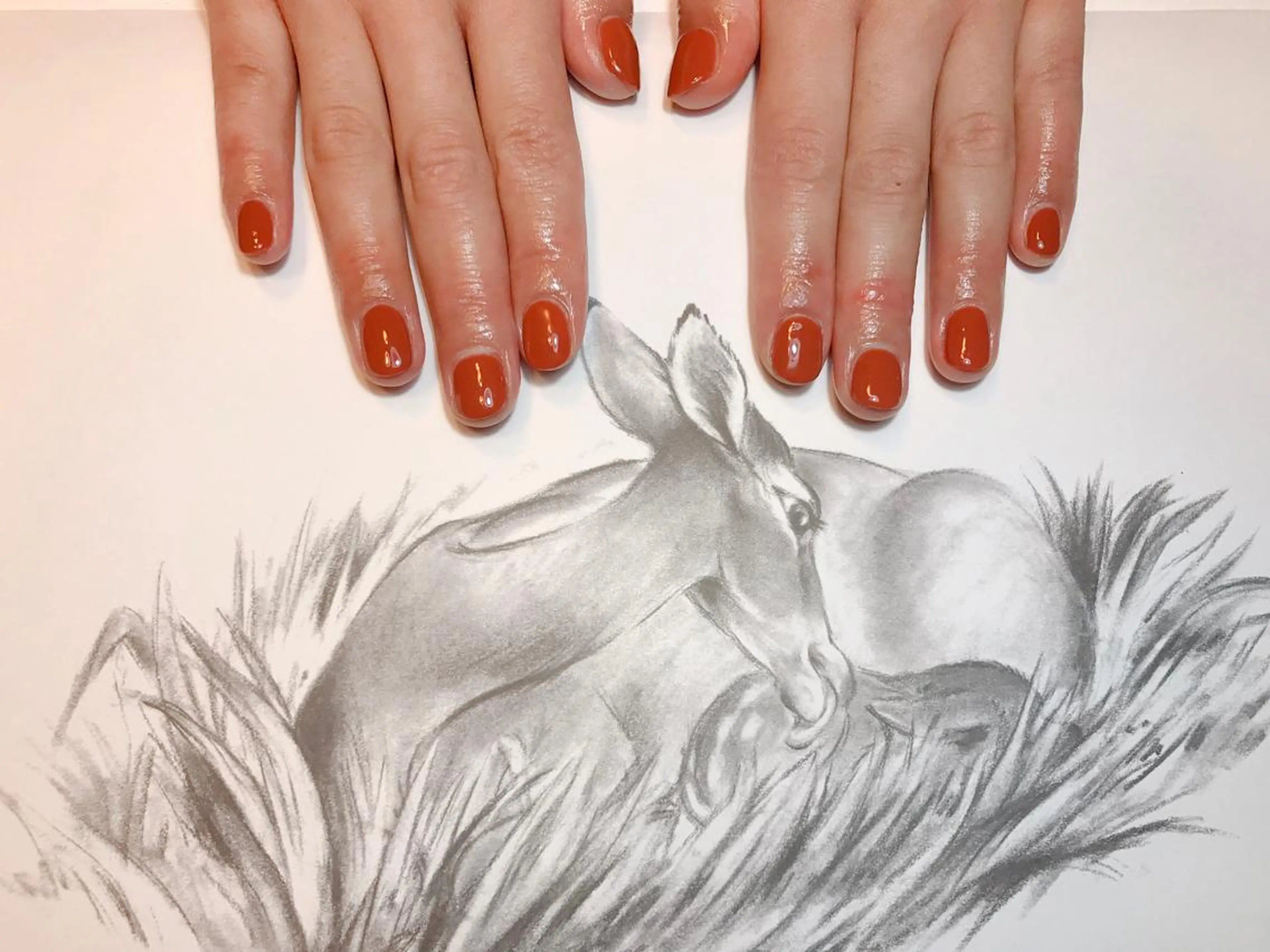 ネイル ワンカラーネイル owlnail /持込みデザイン専門のネイルデザイン