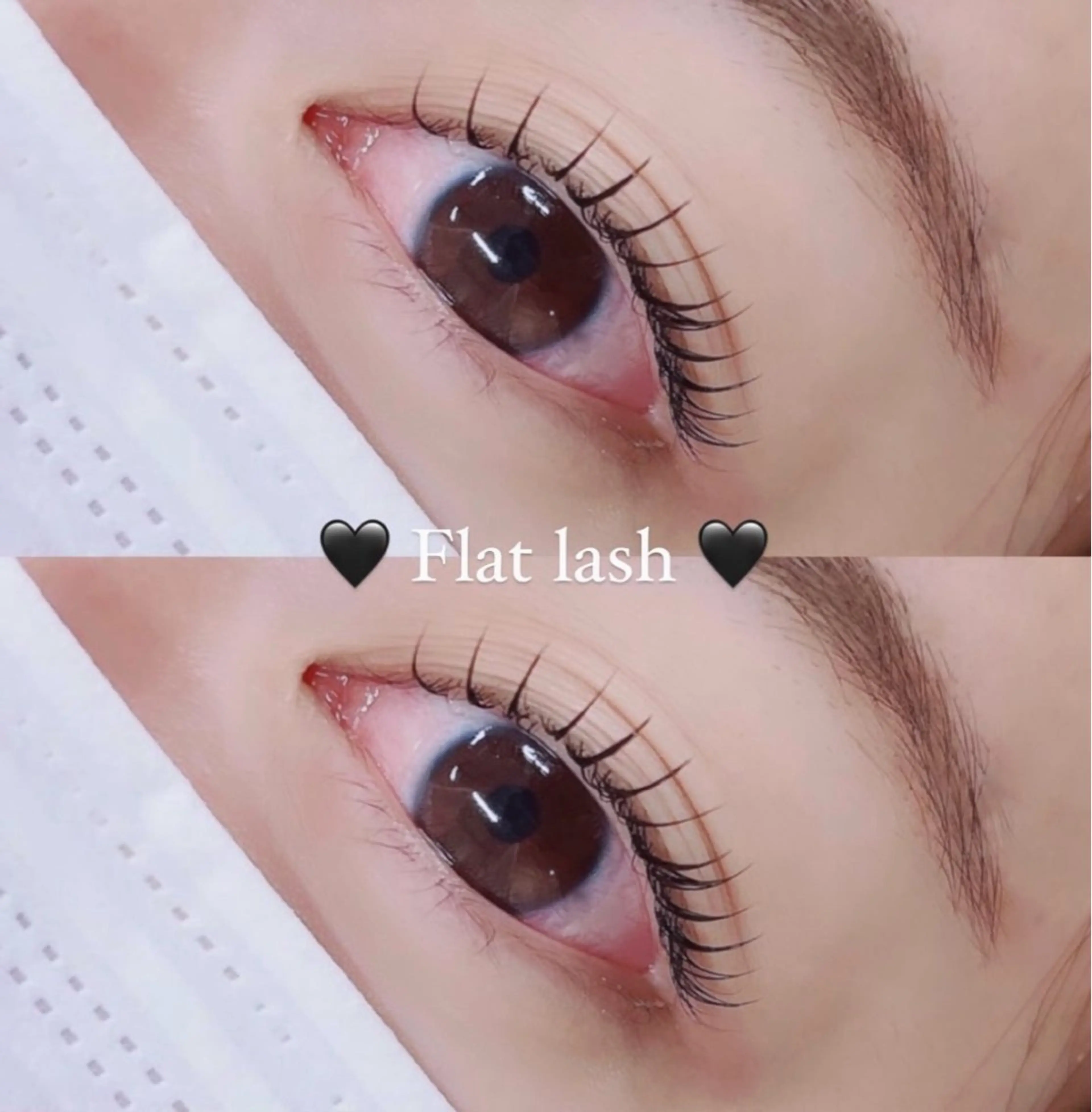 マツエク・マツパ Shucre名駅🖤 MOMOKAの眉毛・アイブロウイメージ