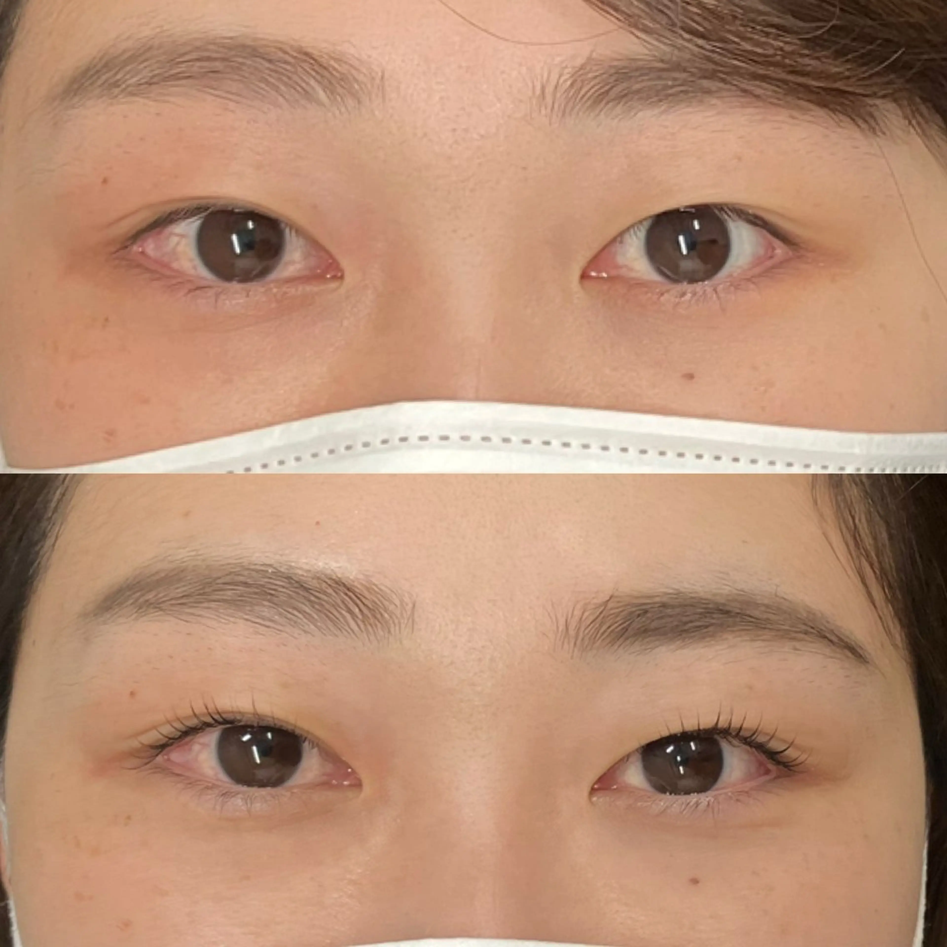 マツエク・マツパ まつげと眉毛のお店Sakura Lash【サクララッシュ】所属・【ダメージケア特化】 🌸 サクララッシュの眉毛・アイブロウイメージ