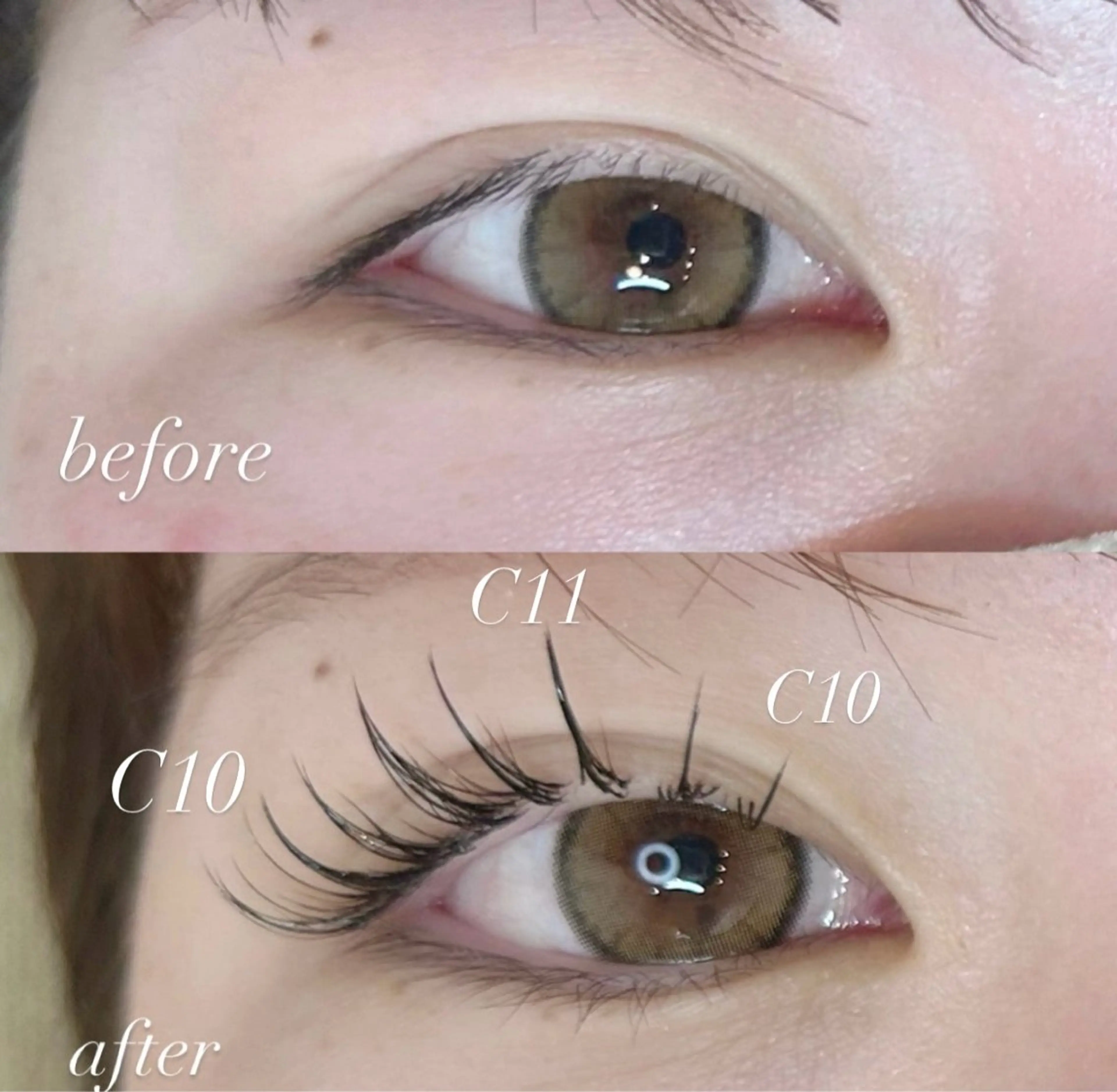 【アイシャンプー付】パリエク100本(土日祝＋700円)の写真