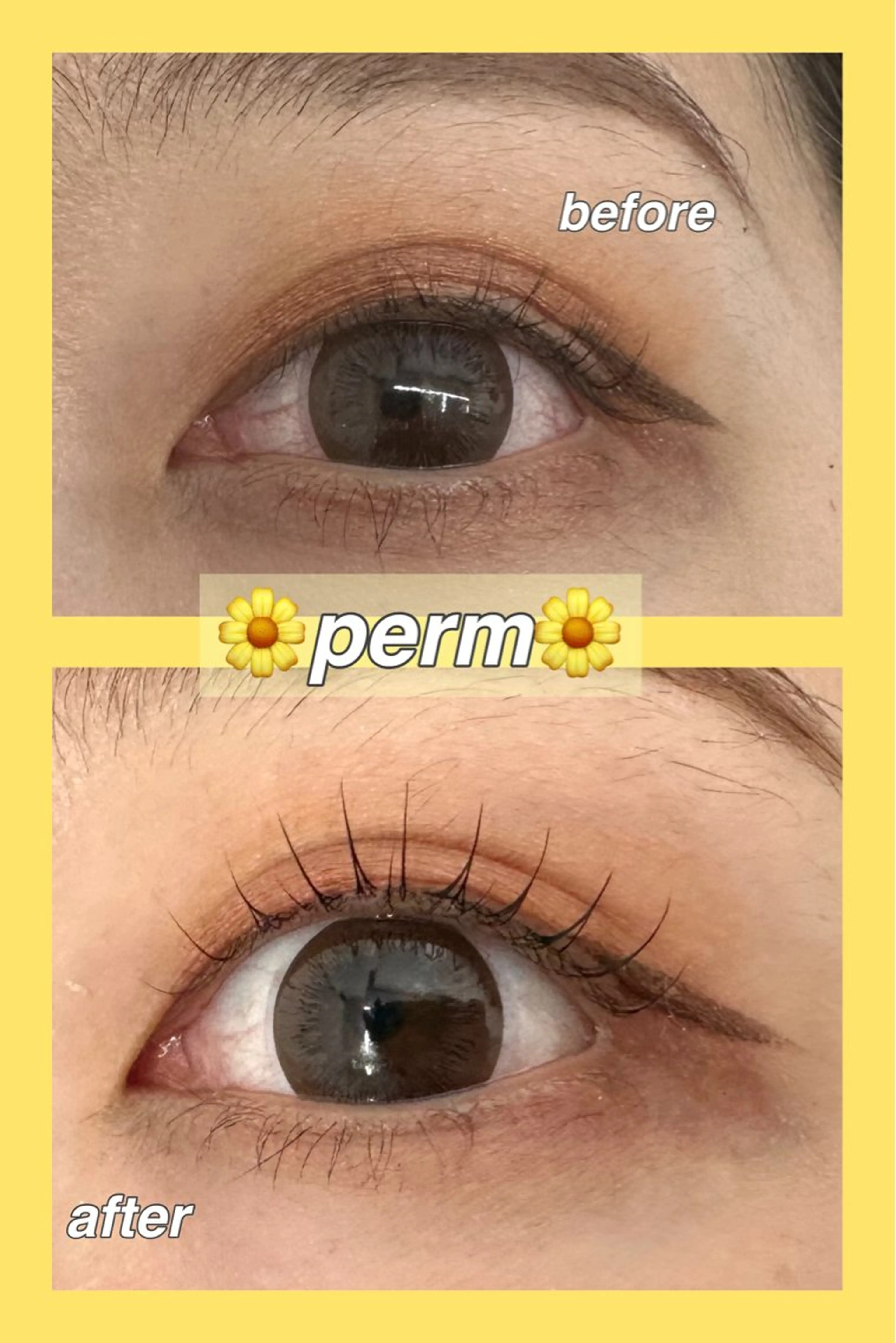 マツエク・マツパ 柏倉 茉依のマツエク・マツパデザイン