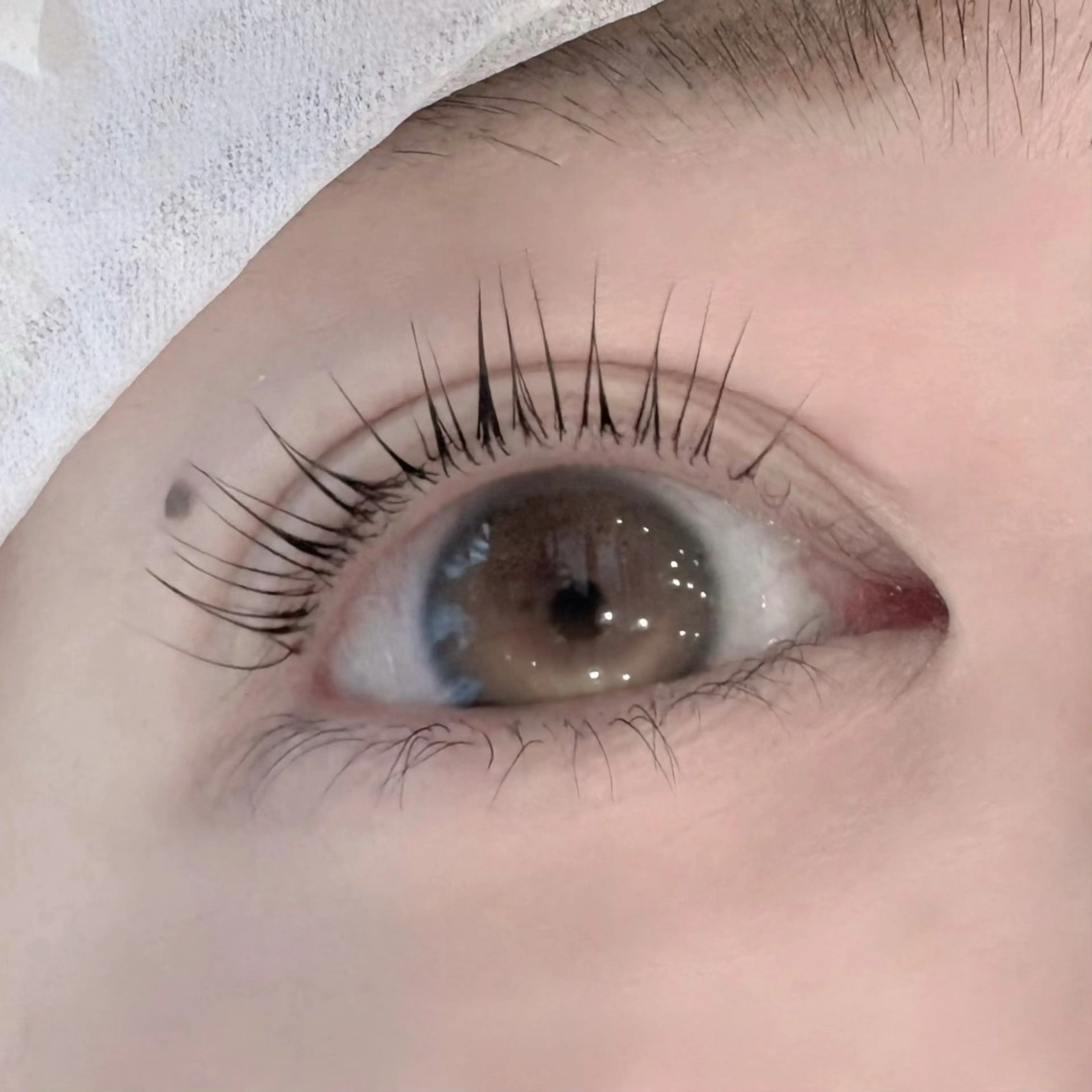 マツエク・マツパ Daisy Lash 今吉🍒🖤のマツエク・マツパデザイン