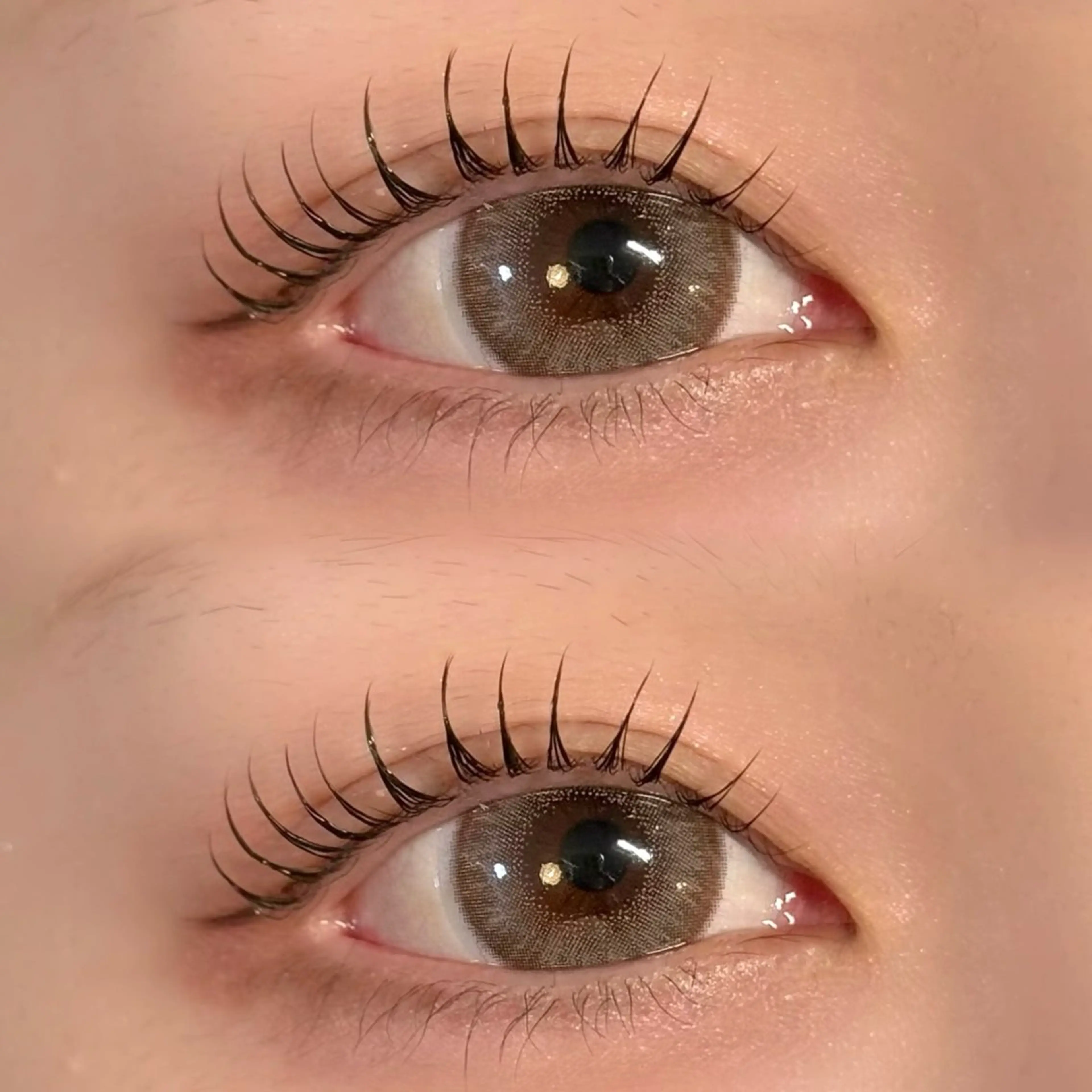 マツエク・マツパ 束感まつ毛 韓国風マツエク パリジェンヌラッシュリフト まつげパーマ 一重×まつ毛パーマ マツパ téa. reina/表参道のマツエク・マツパデザイン