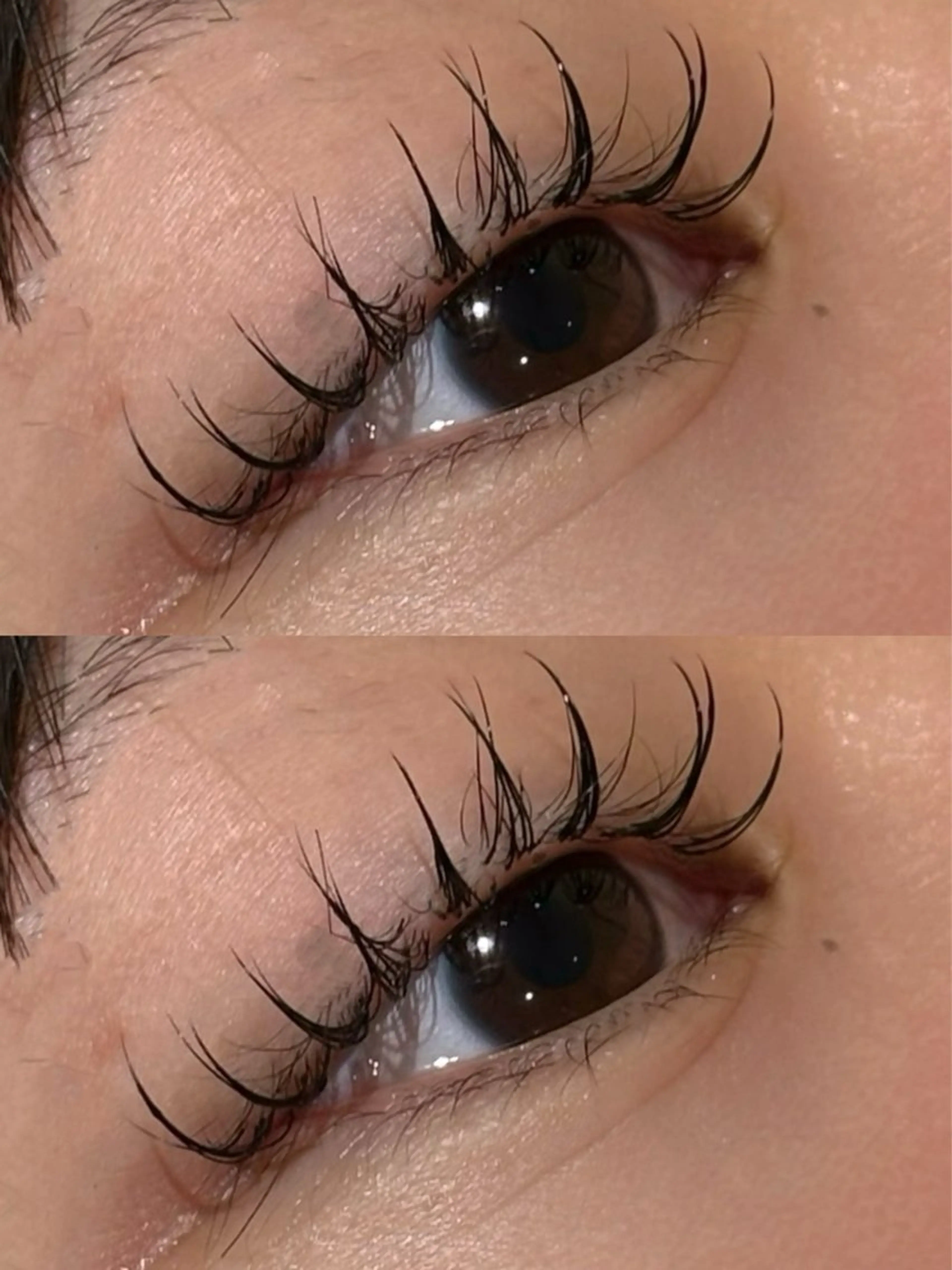 セーブル・フラット80本オフあり 付け足し不可(練習モデル)の写真